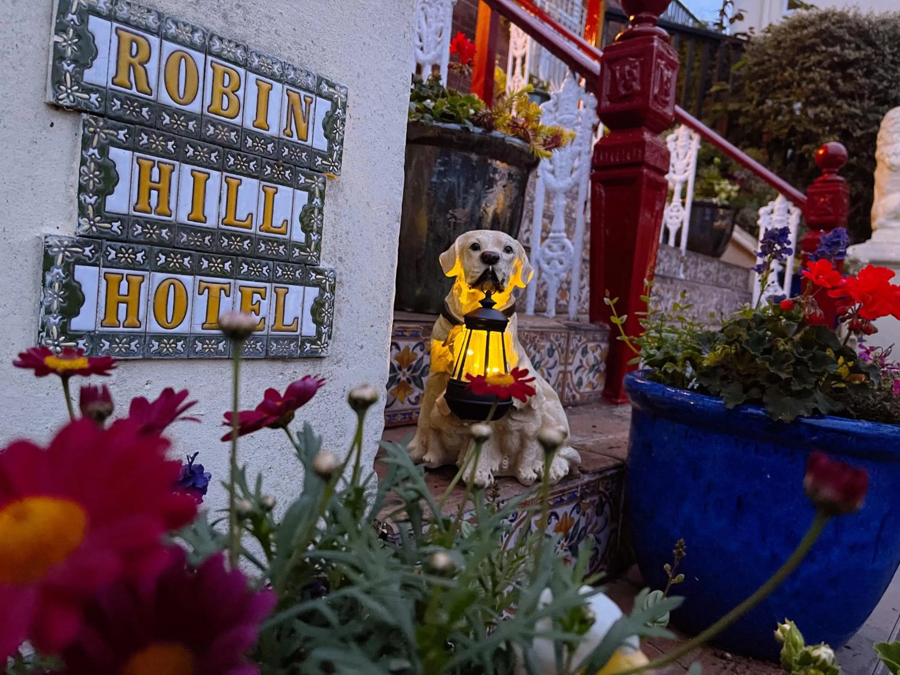 Garden view in The Robin Hill