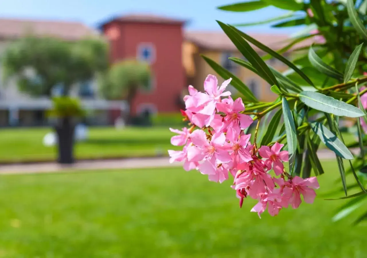 Garden in TH Lazise - Hotel Parchi Del Garda