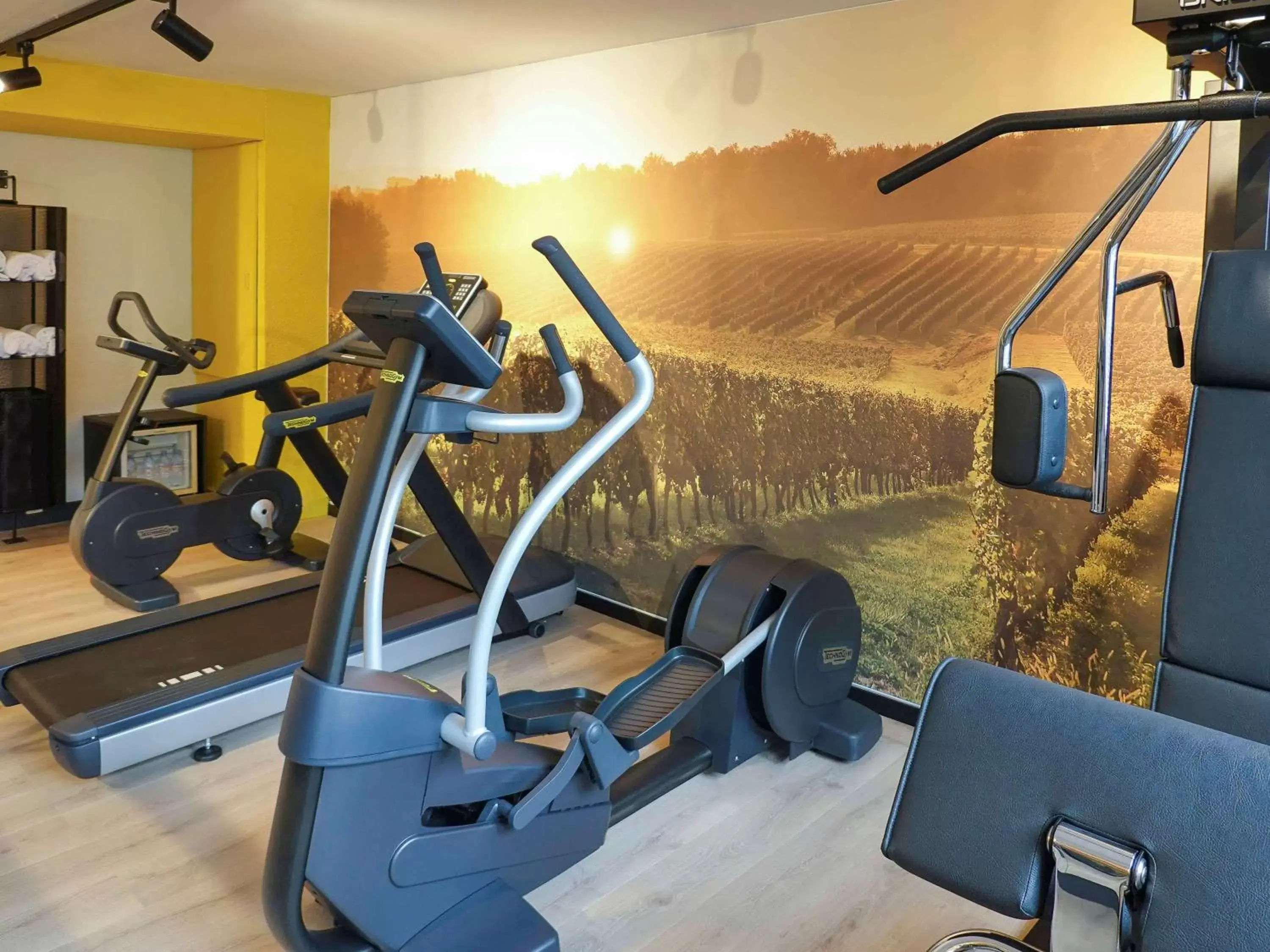 Fitness centre/facilities, Fitness Center/Facilities in Novotel Dijon Sud