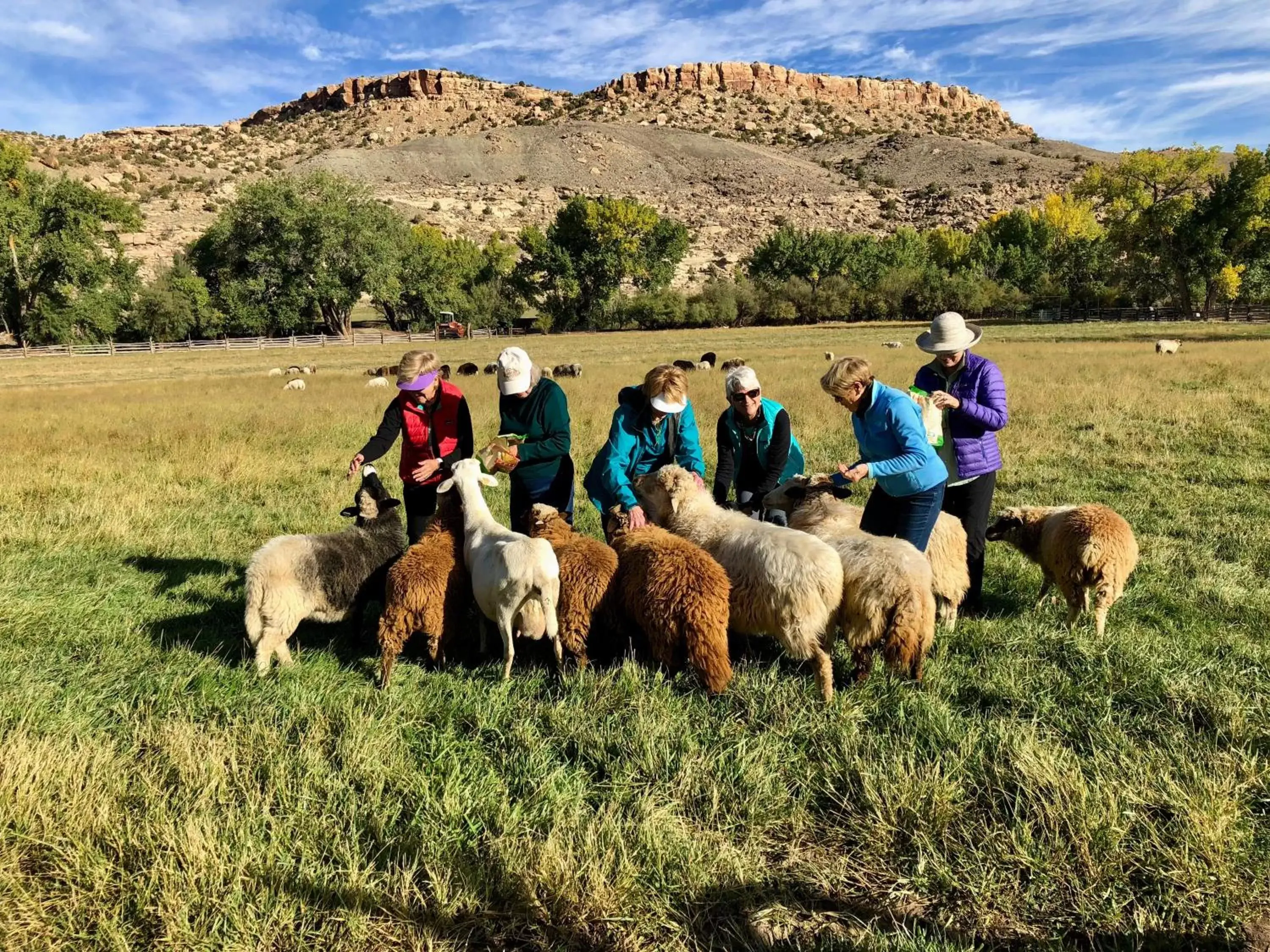 Canyon Of The Ancients Guest Ranch