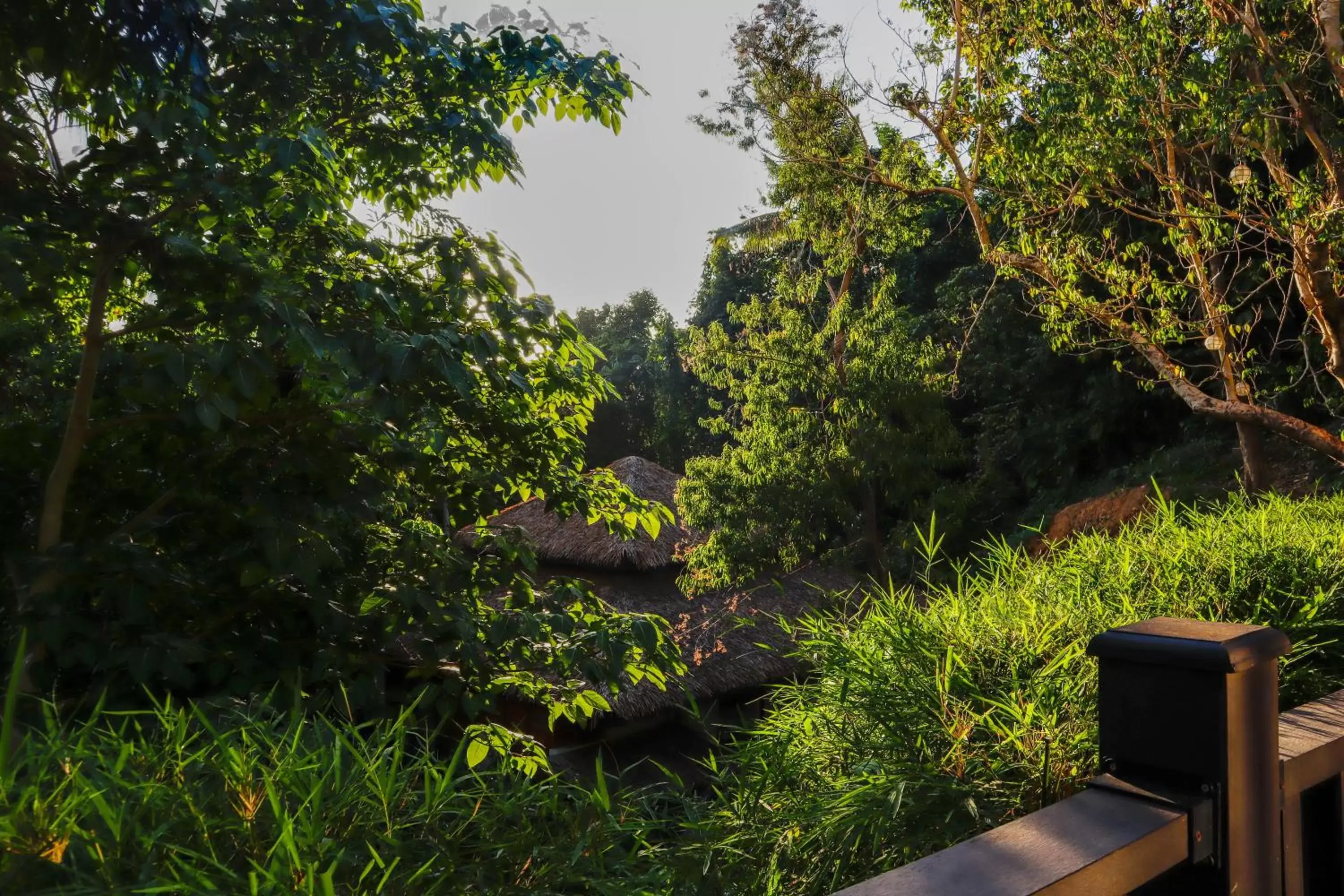 Garden view in Lihim Resorts Garden view in Lihim Resorts