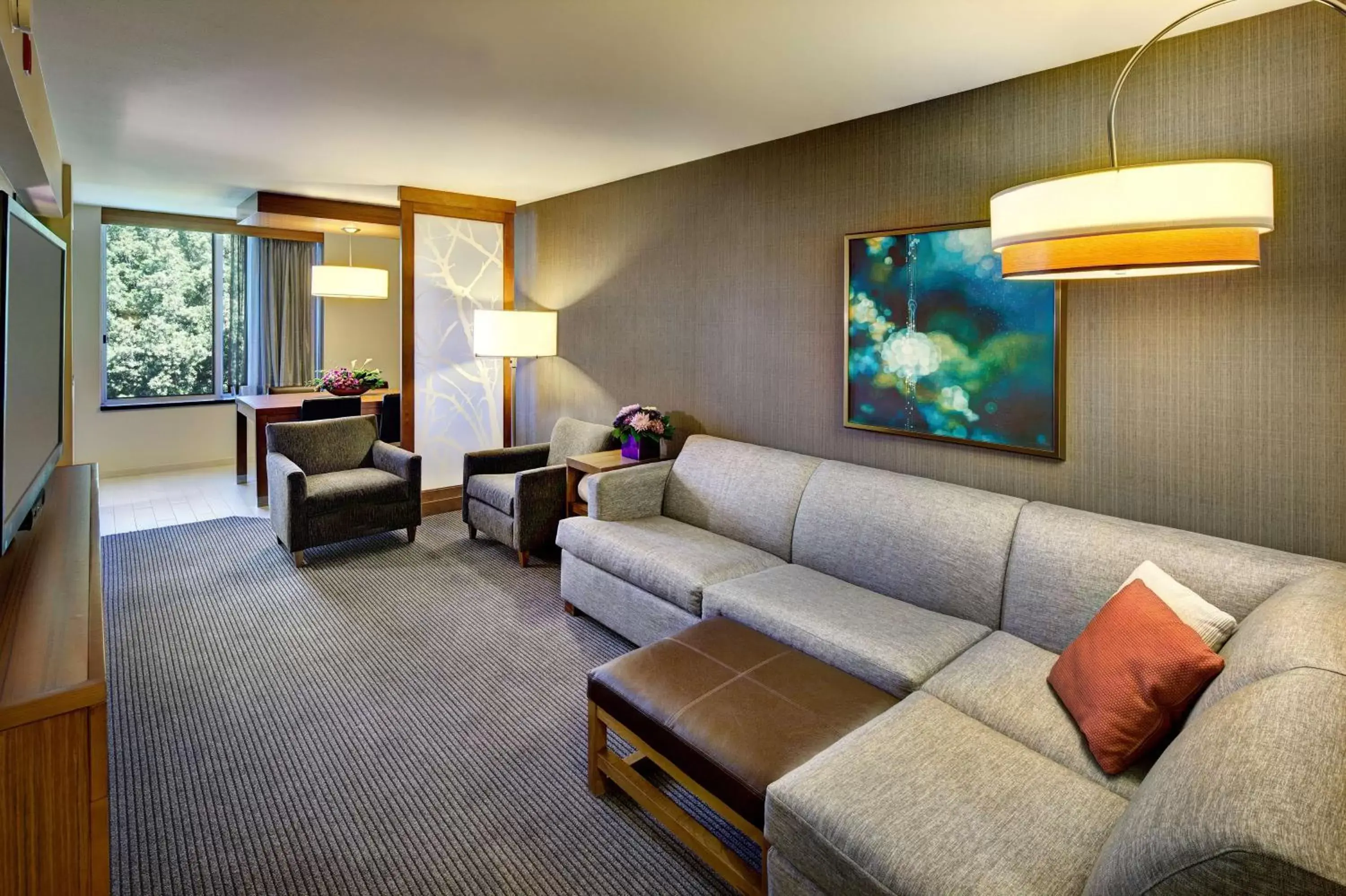 One-Bedroom King Suite with Sofa Bed in Hyatt Place UC Davis One-Bedroom King Suite with Sofa Bed in Hyatt Place UC Davis