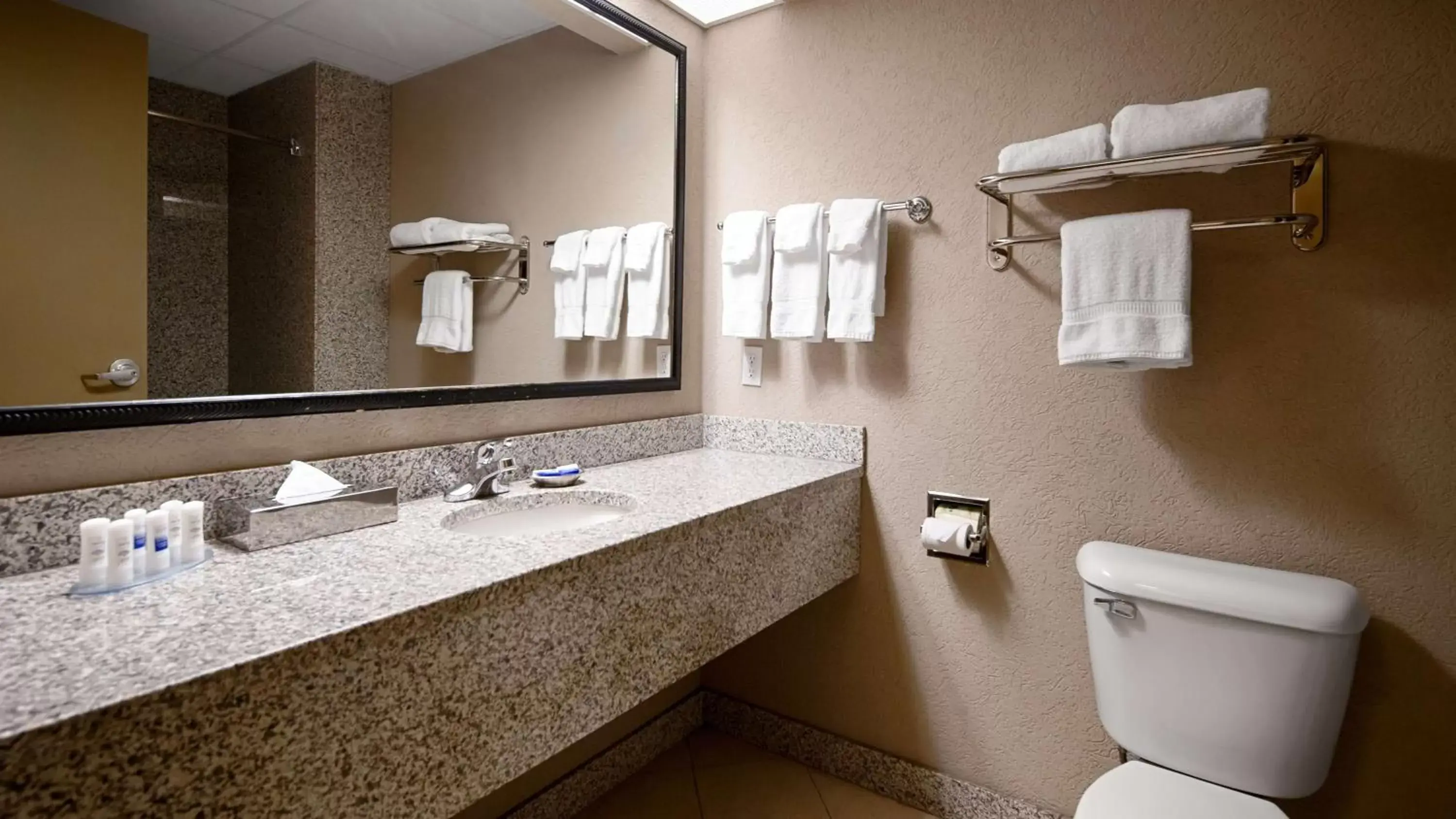 Bathroom in Best Western Plus Sandusky Hotel & Suites