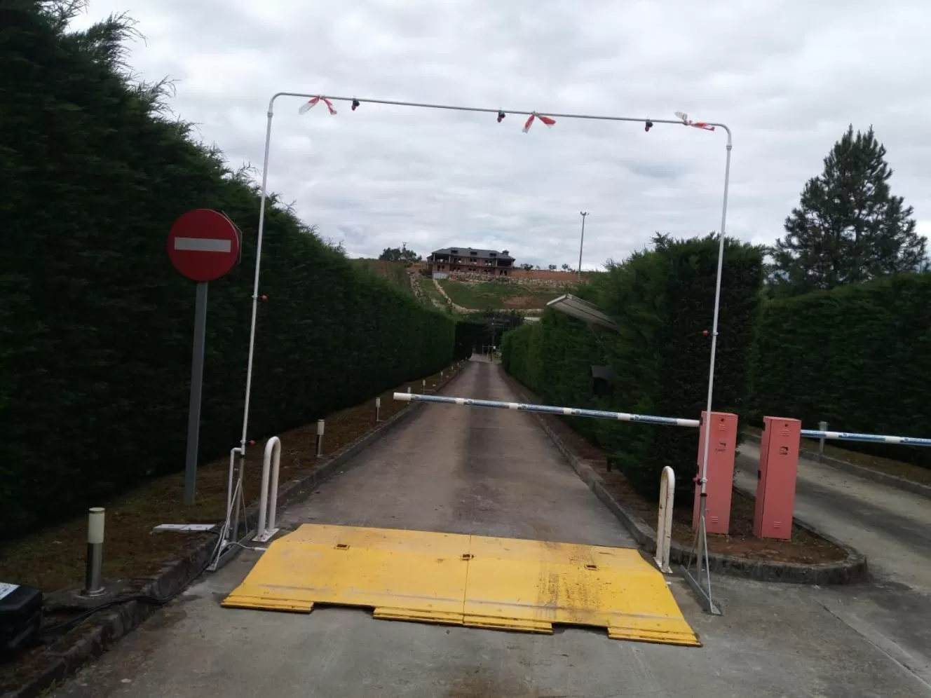 Other in Motel Acropolis