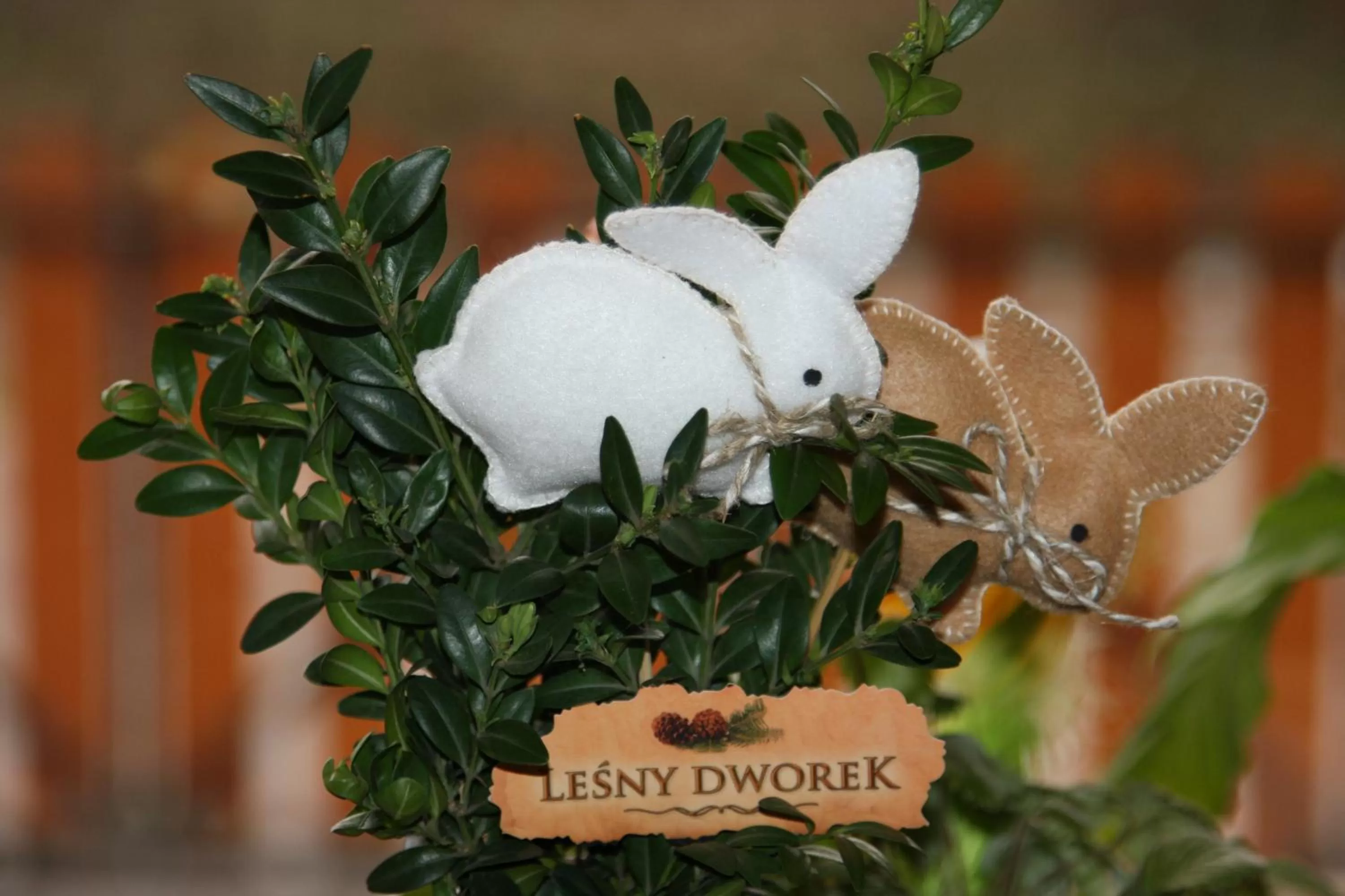 Leśny Dworek Zakopane