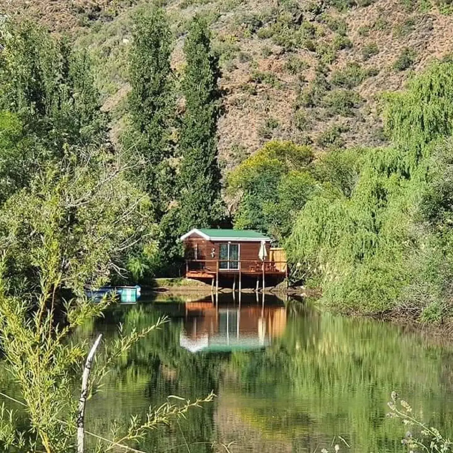 View (from property/room) in Old Mill Lodge, Seasonal Working Ostrich Farm & Restaurant, Oudtshoorn