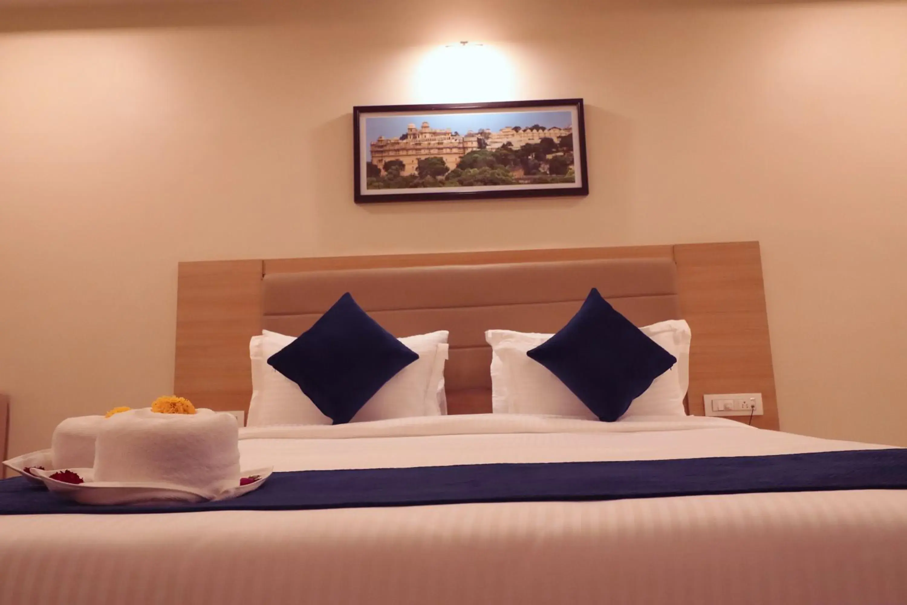 Bed in Clarks Inn Express Udaipur