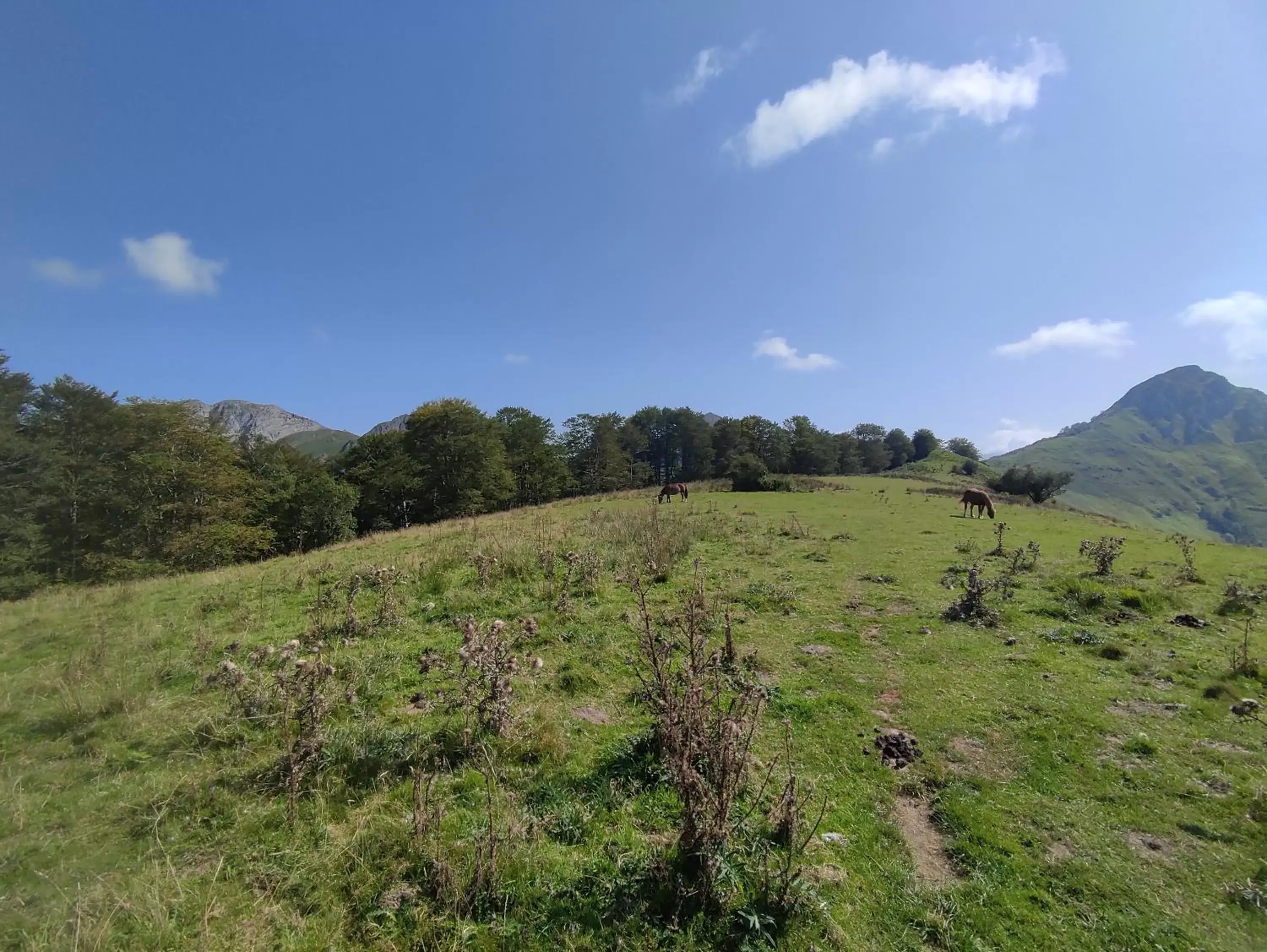 Nearby landmark, Natural Landscape in B&B Amphitryon