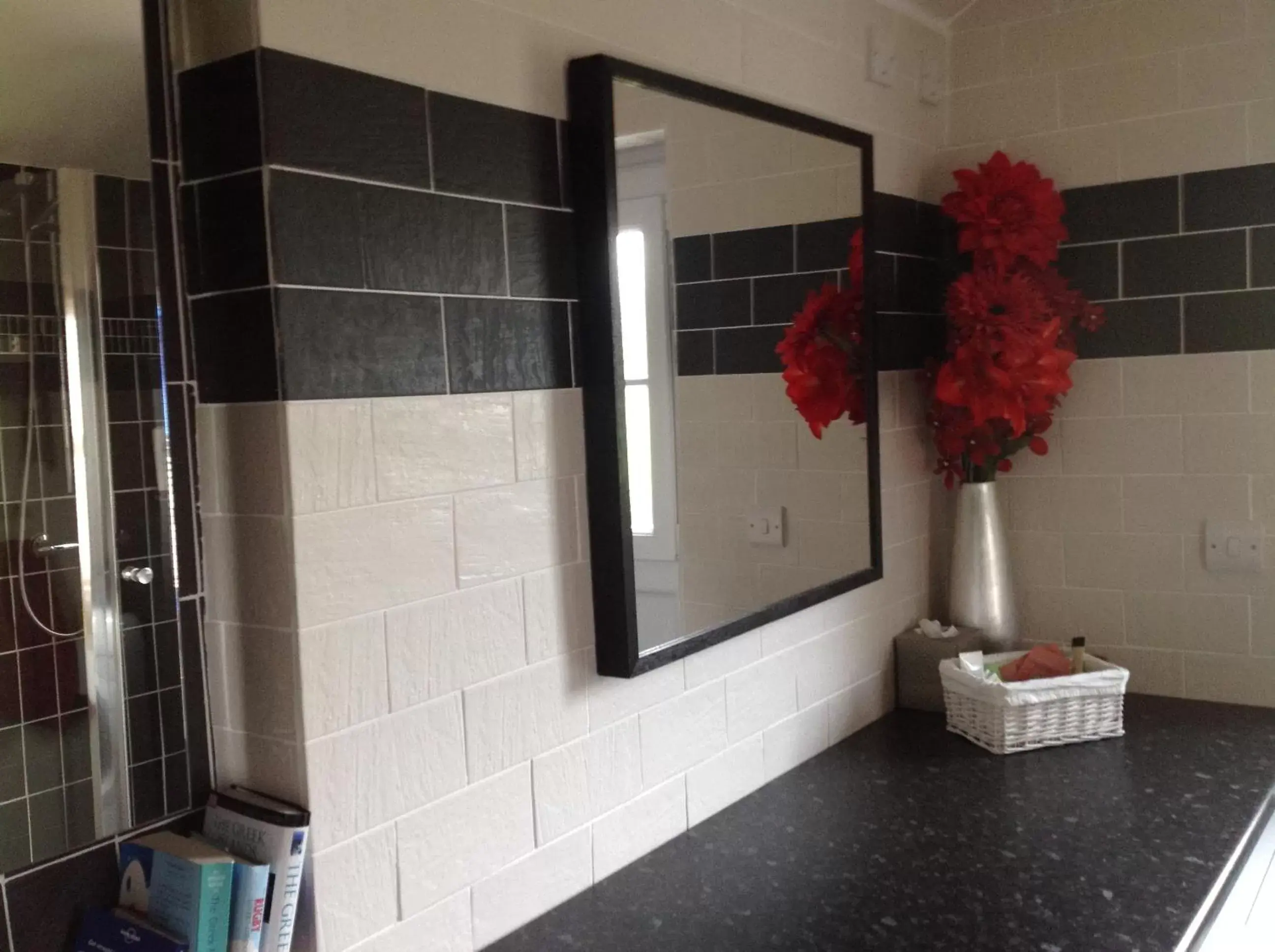Shower, Bathroom in Garth Engan Private Self Contained B&B with Garden Area