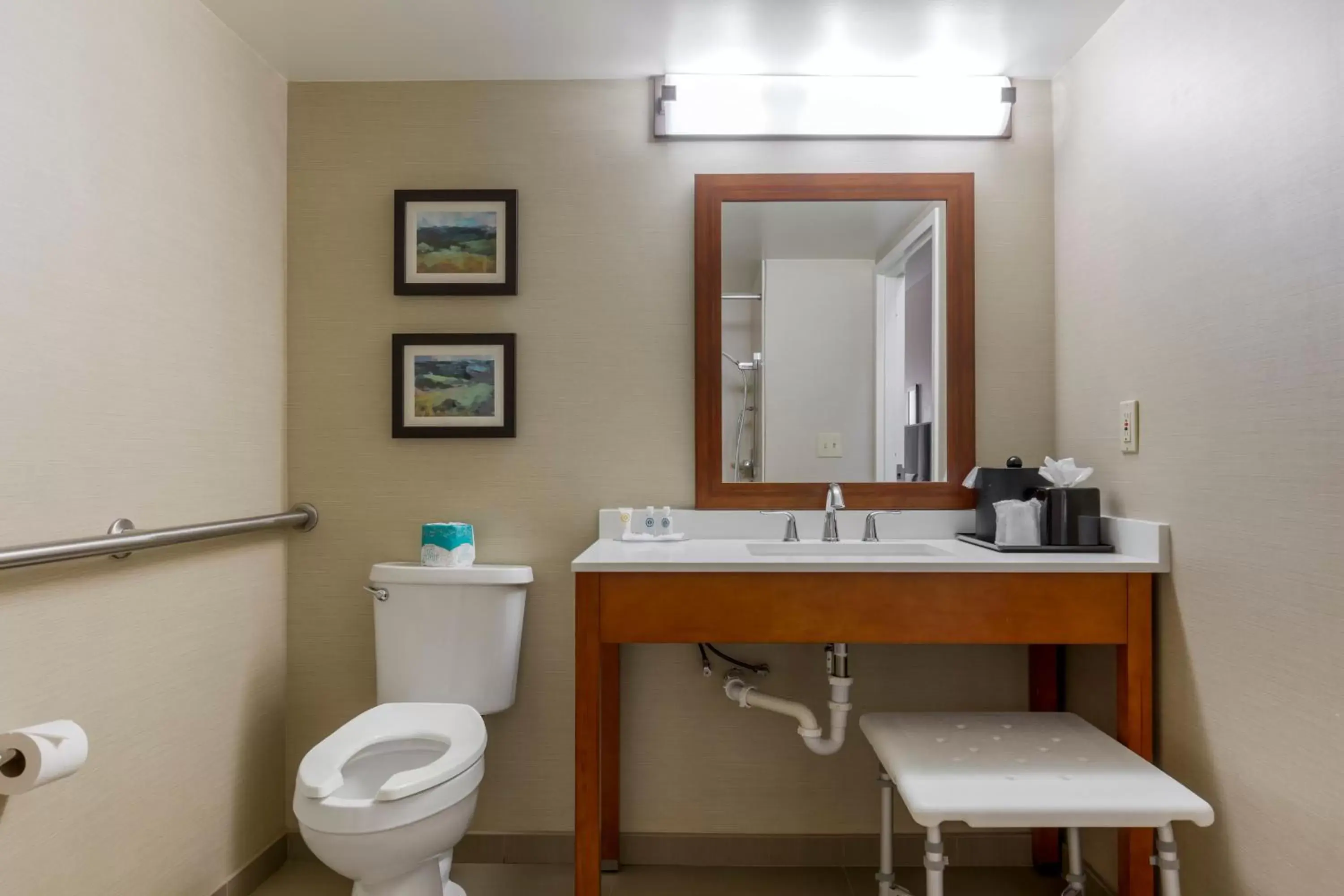 acessibility, Bathroom in Comfort Inn University Durham - Chapel Hill