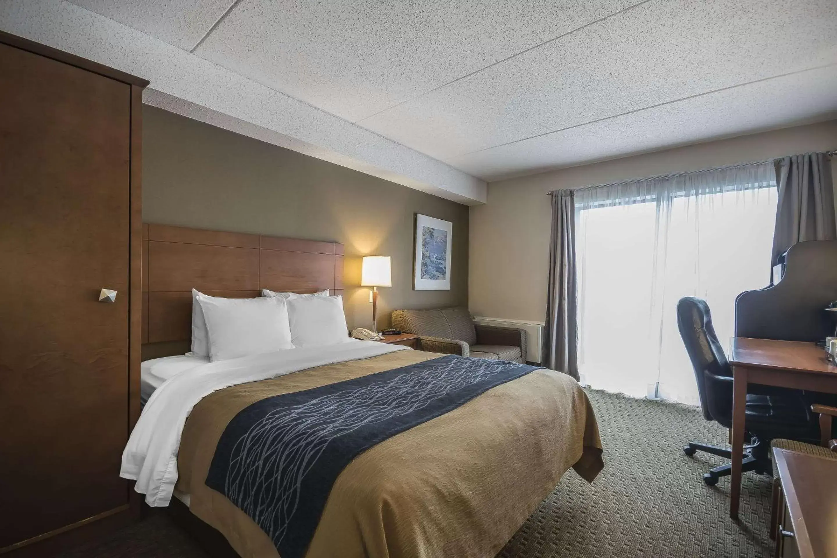 Photo of the whole room, Bed in Comfort Inn Chilliwack