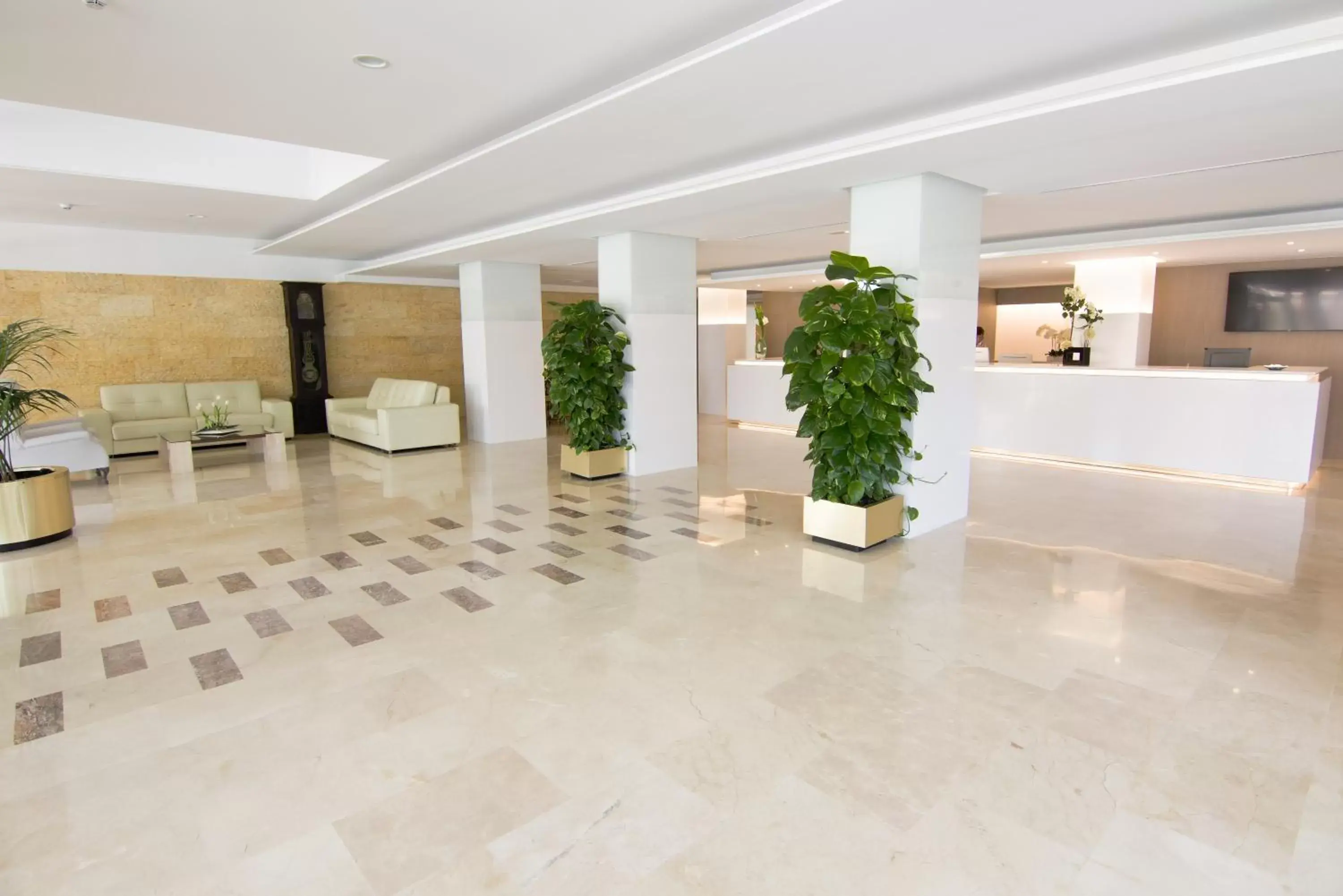 Lobby or reception in CM Playa del Moro