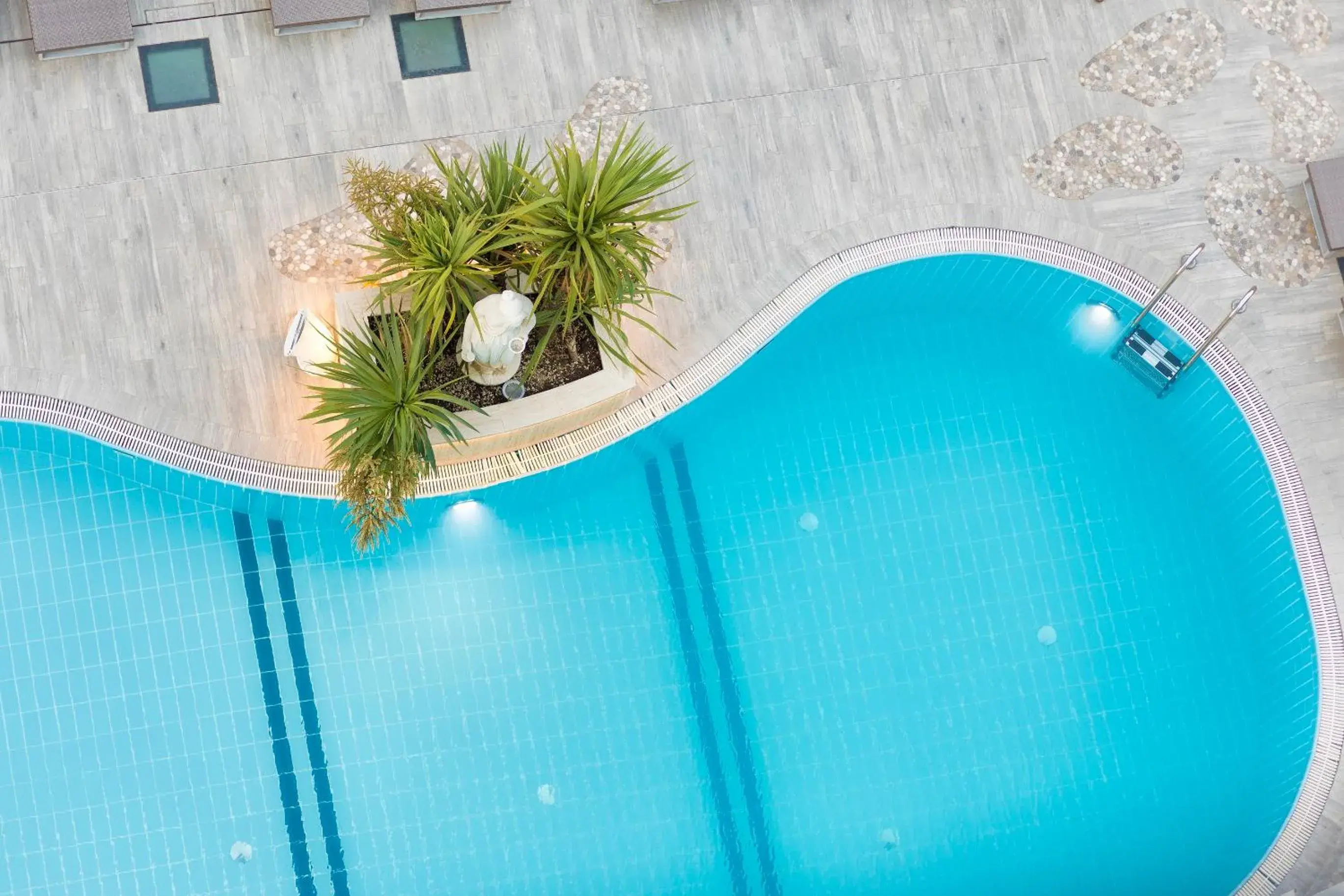 Swimming Pool in Hotel Feldberg