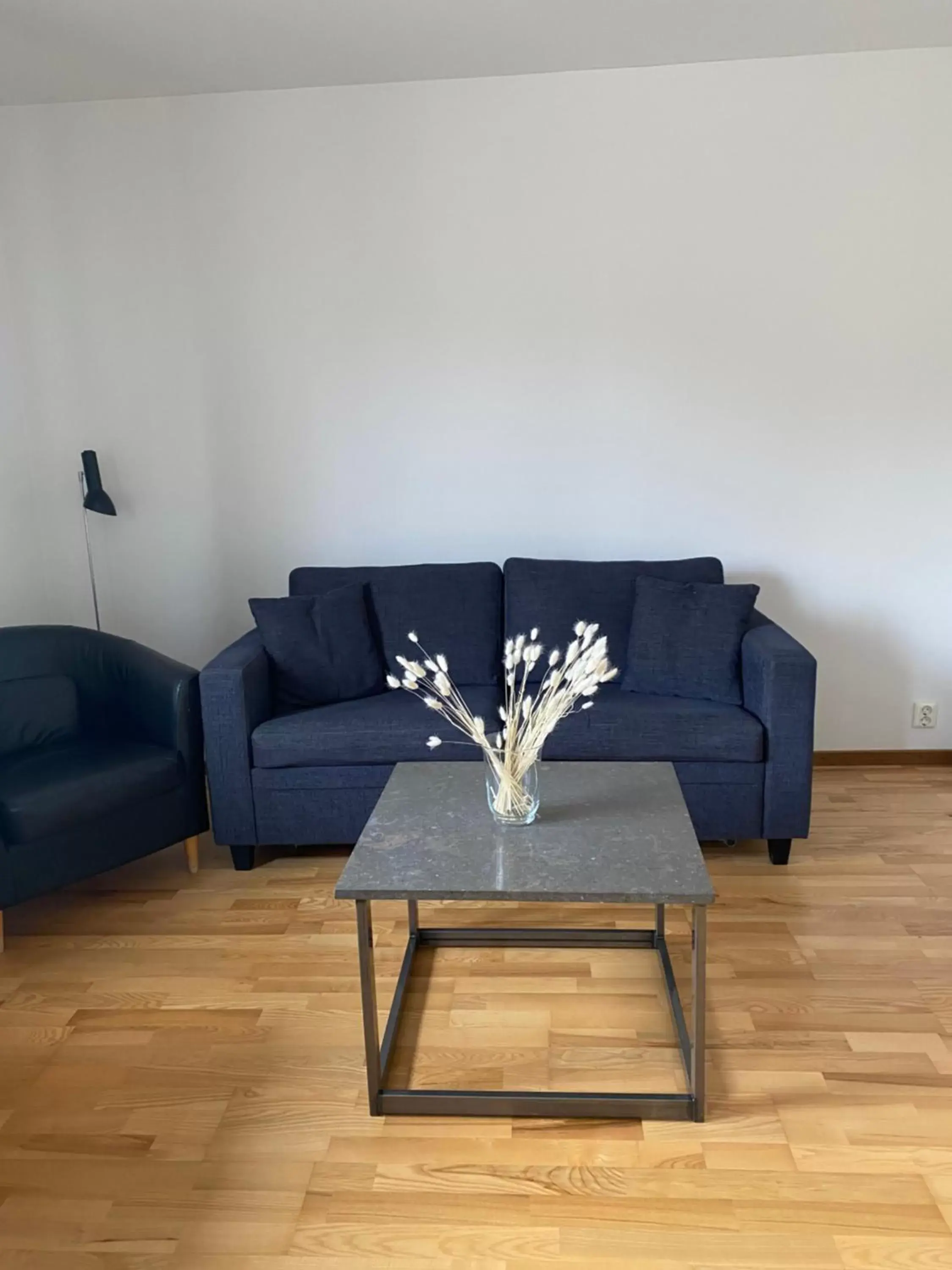 Living room in Place Lund Living room in Place Lund