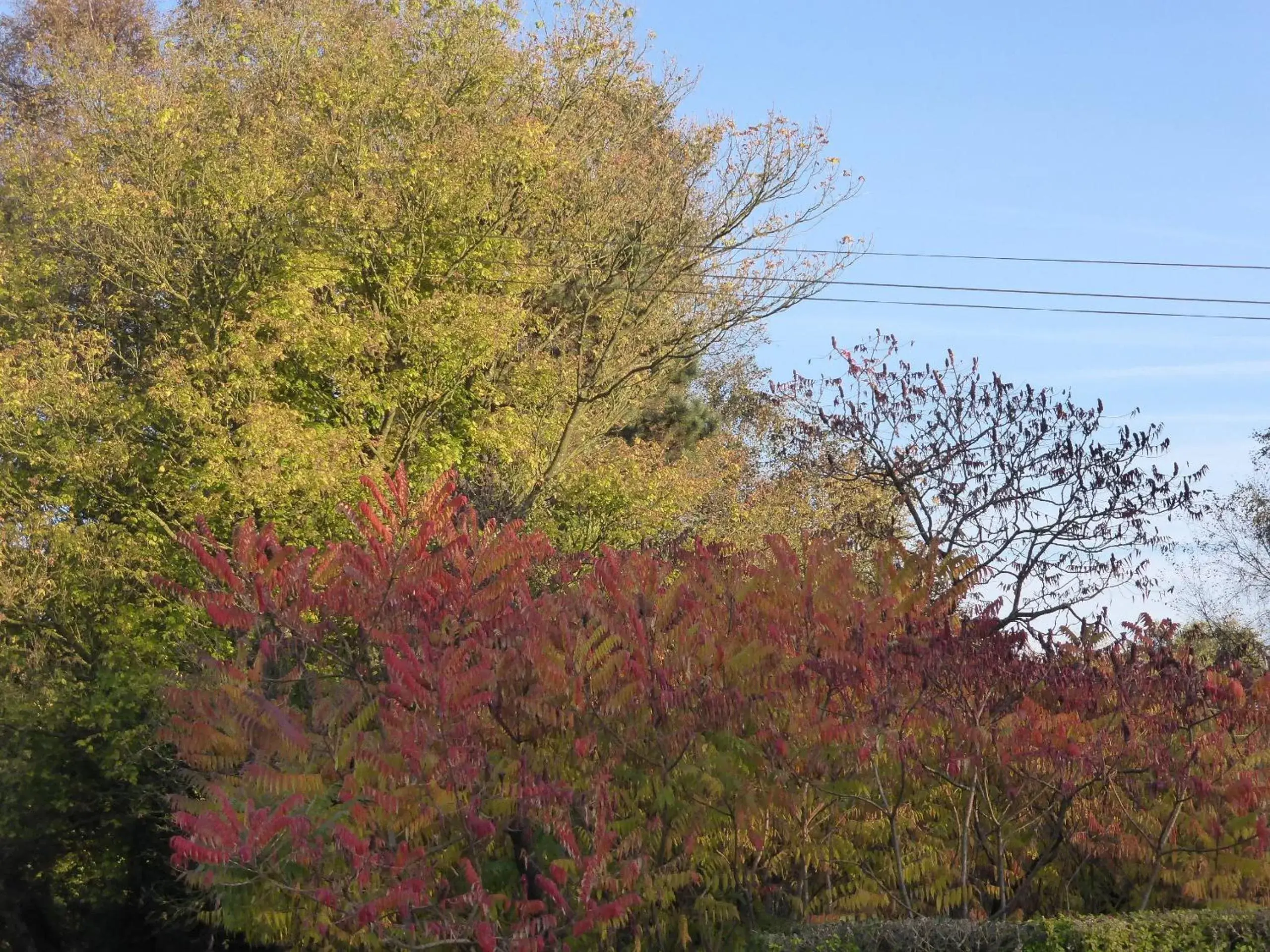 Garden in ty dreux entre terre et mer