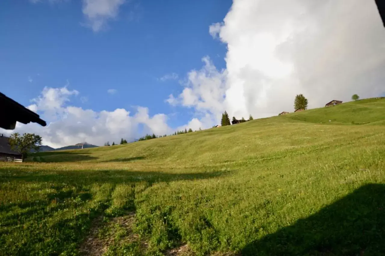 Natural landscape in Berggasthaus Eggberge