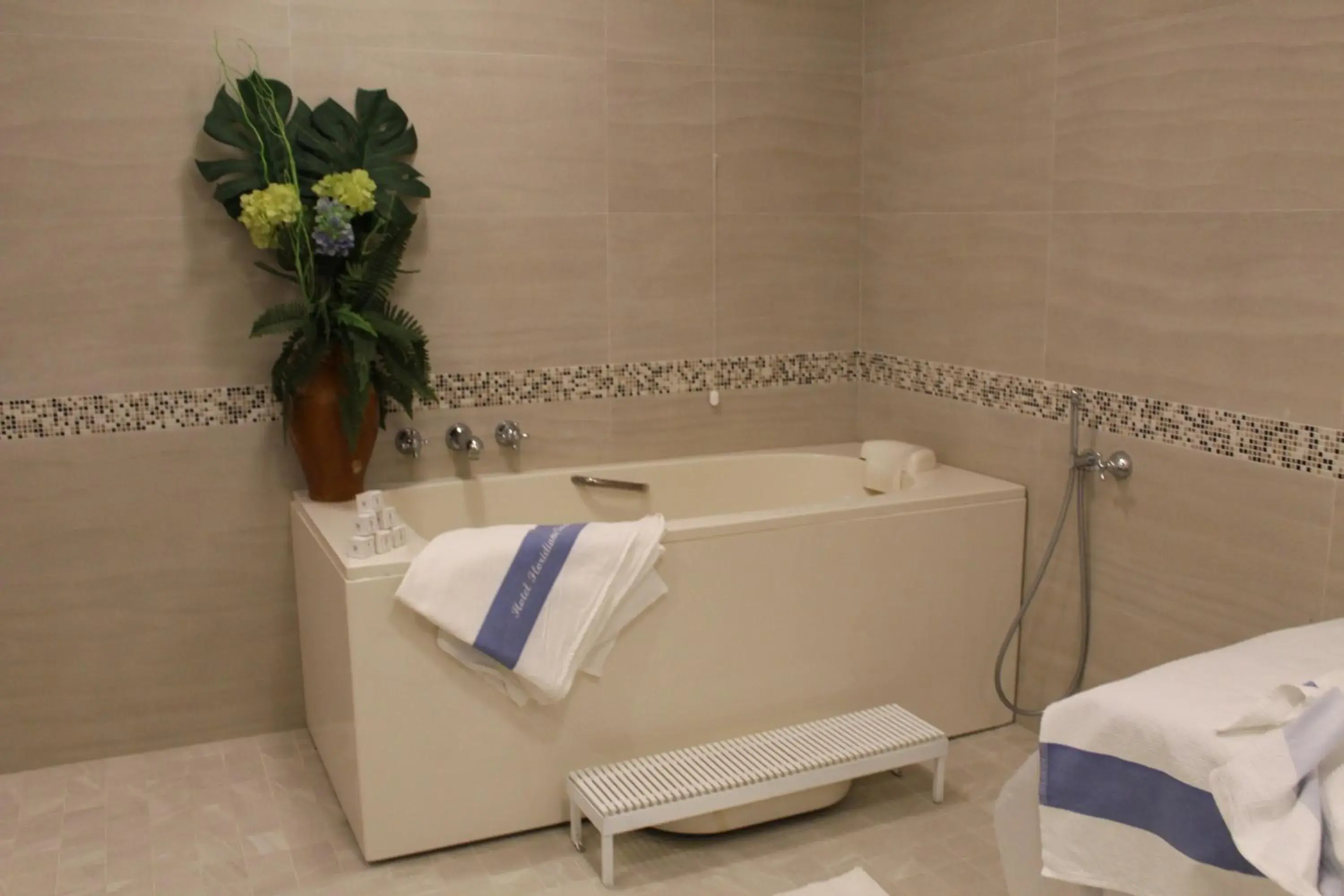 Hot Spring Bath, Bathroom in Hotel Floridiana Terme