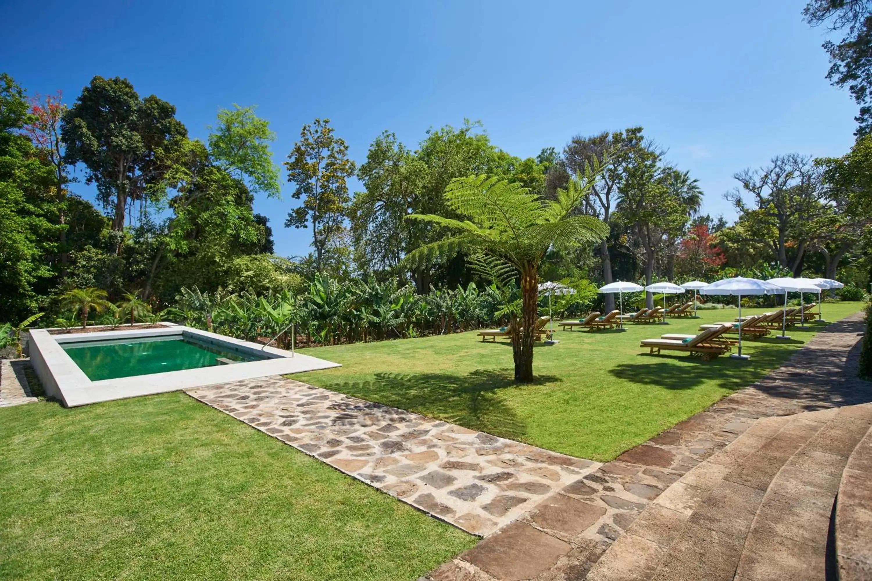 Swimming pool in Quinta da Casa Branca