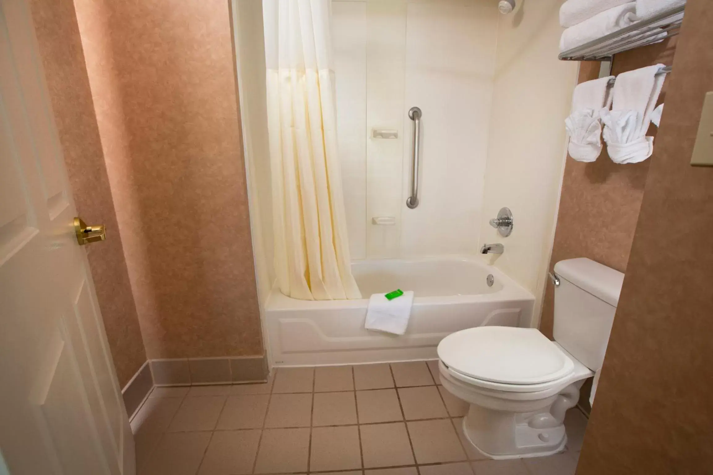 Shower, Bathroom in SureStay Plus Hotel by Best Western Tempe University