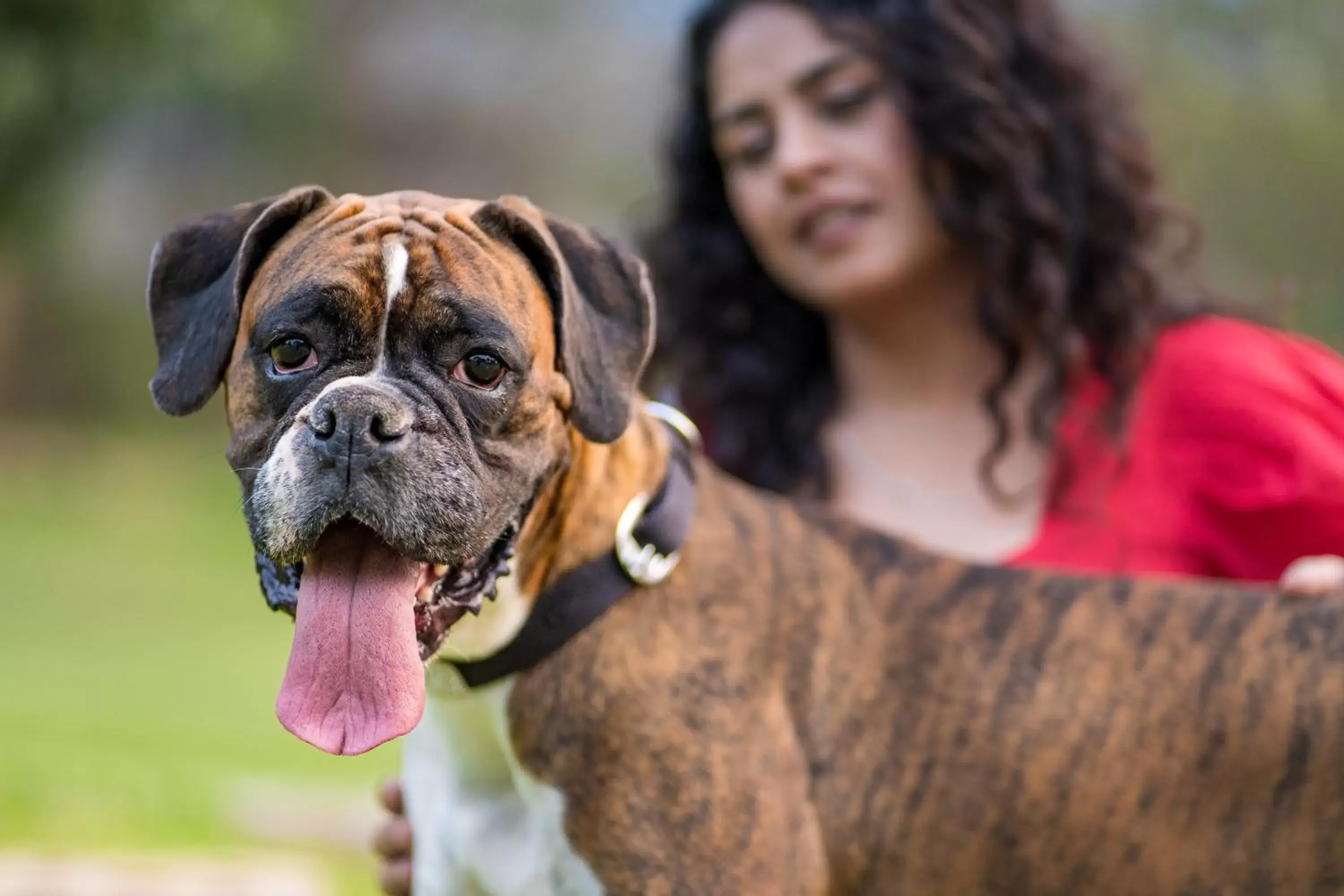 Pets in Hyatt Hyderabad Gachibowli