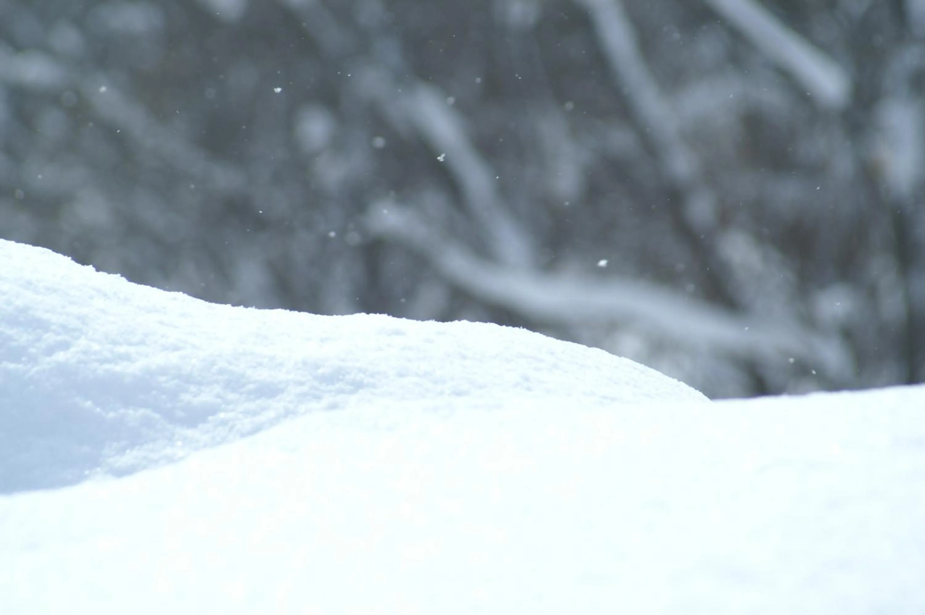 Winter in Niseko Prince Hotel Hirafutei