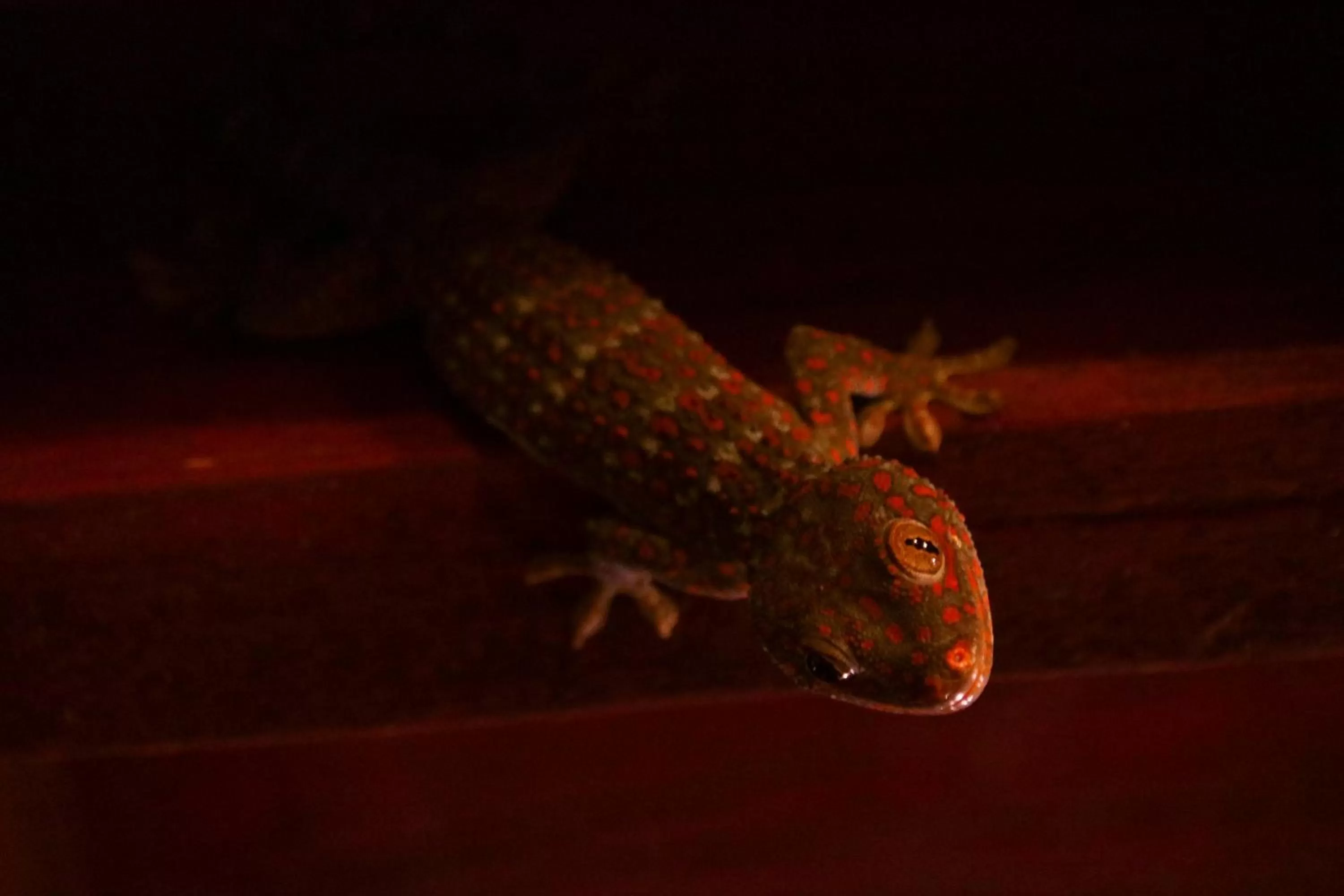 Property building in Sambor Village Hotel