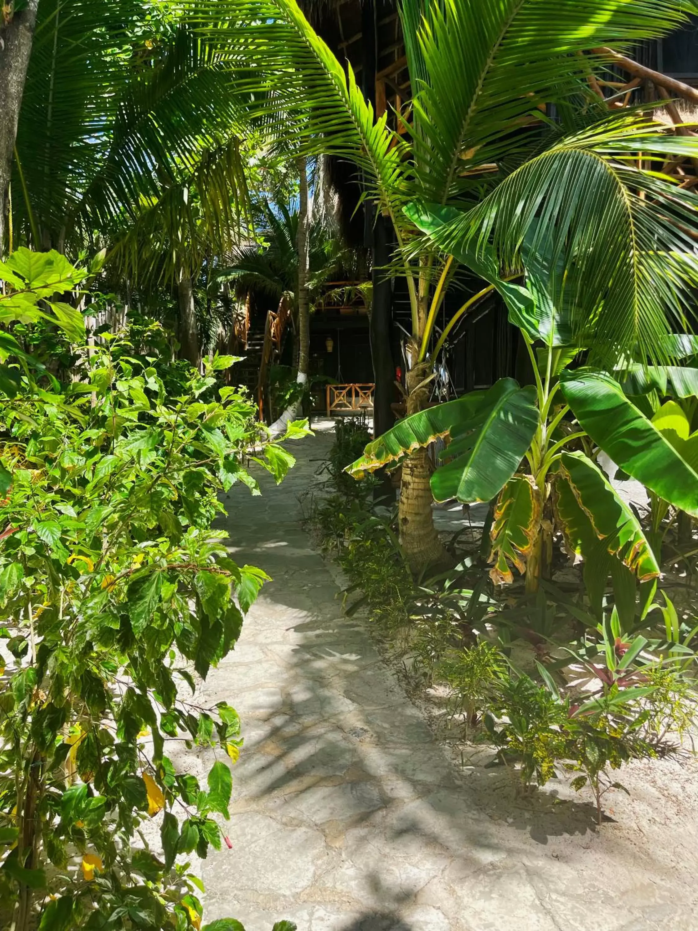 Garden in Sivana Tulum