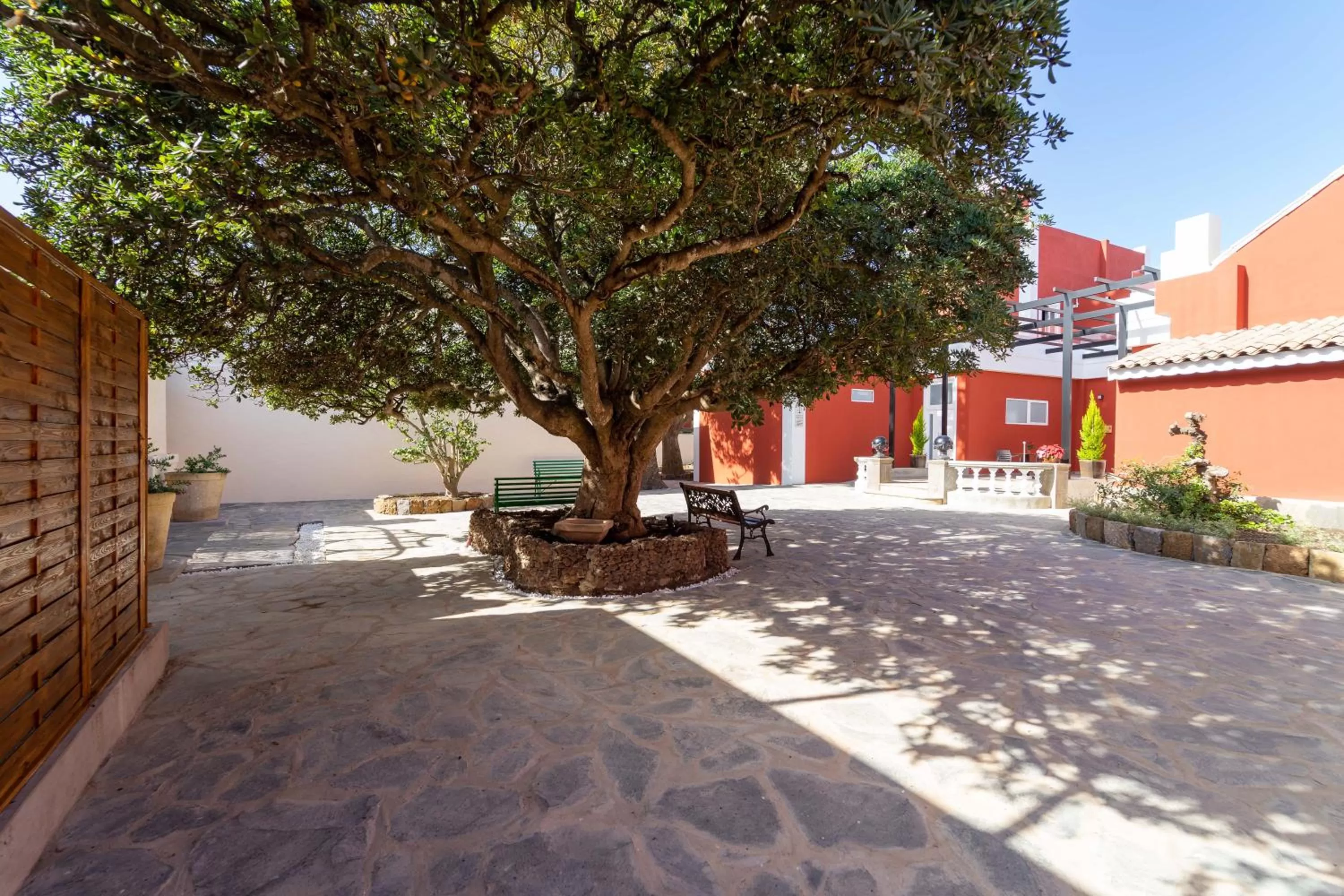 Patio in Albor Suites