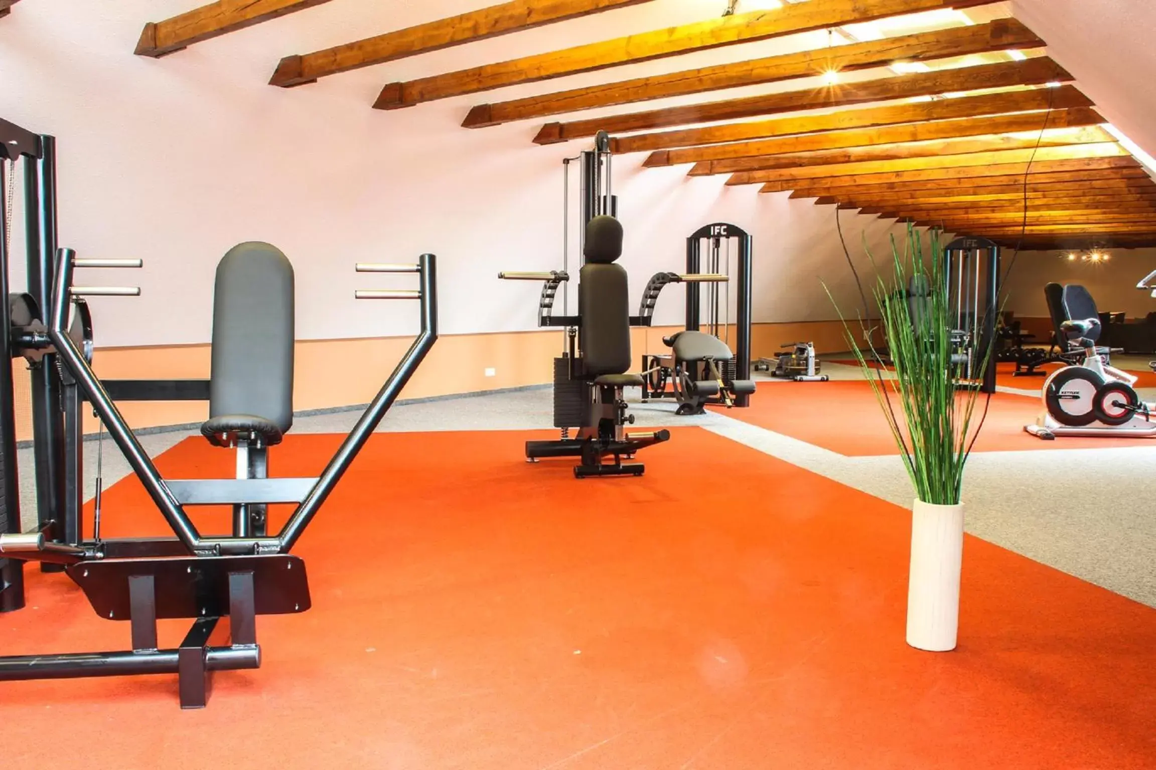 Fitness centre/facilities, Fitness Center/Facilities in Bernstein Acamed Resort