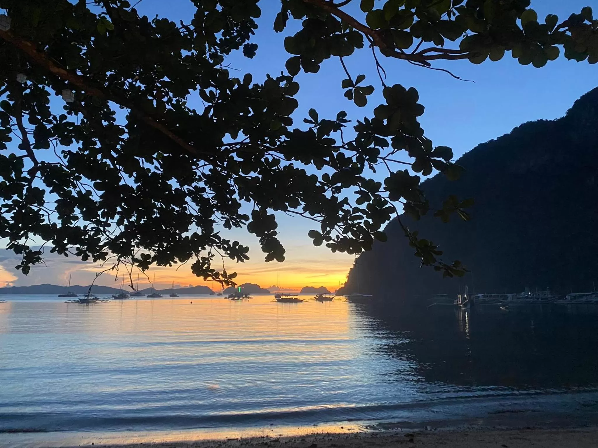 Natural landscape in Sophias Beach Guest House