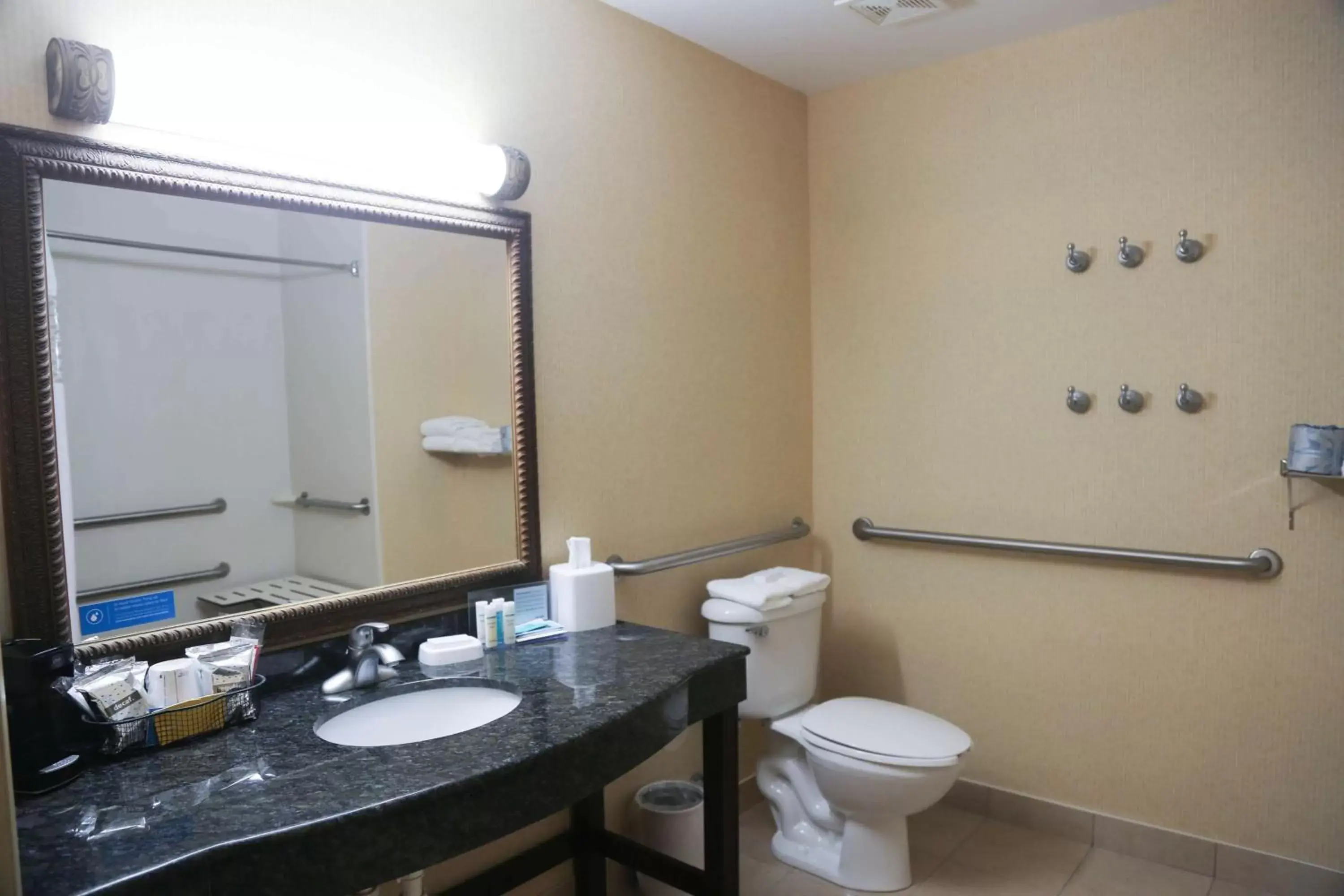 Bathroom in Hampton Inn Morehead