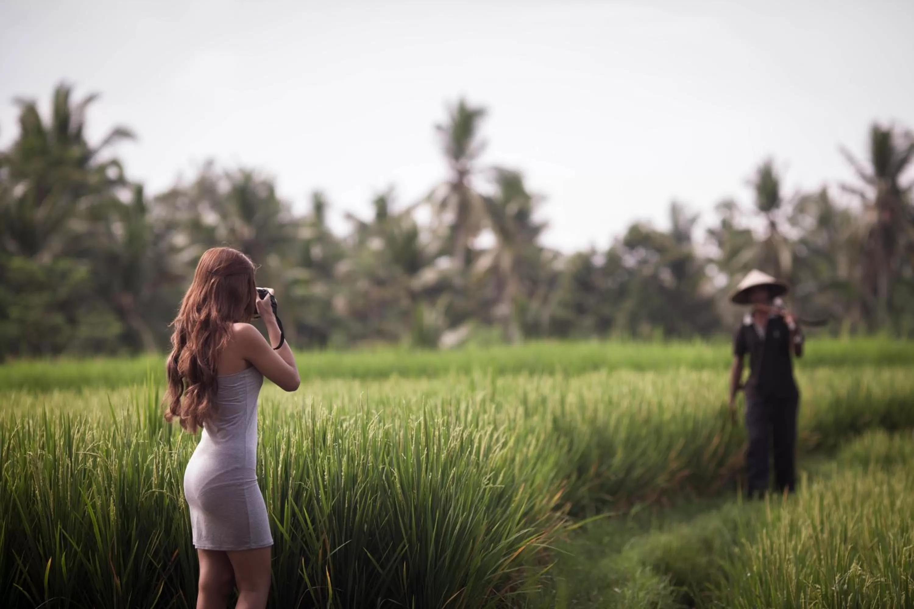 View (from property/room) in Manyi Village Ubud