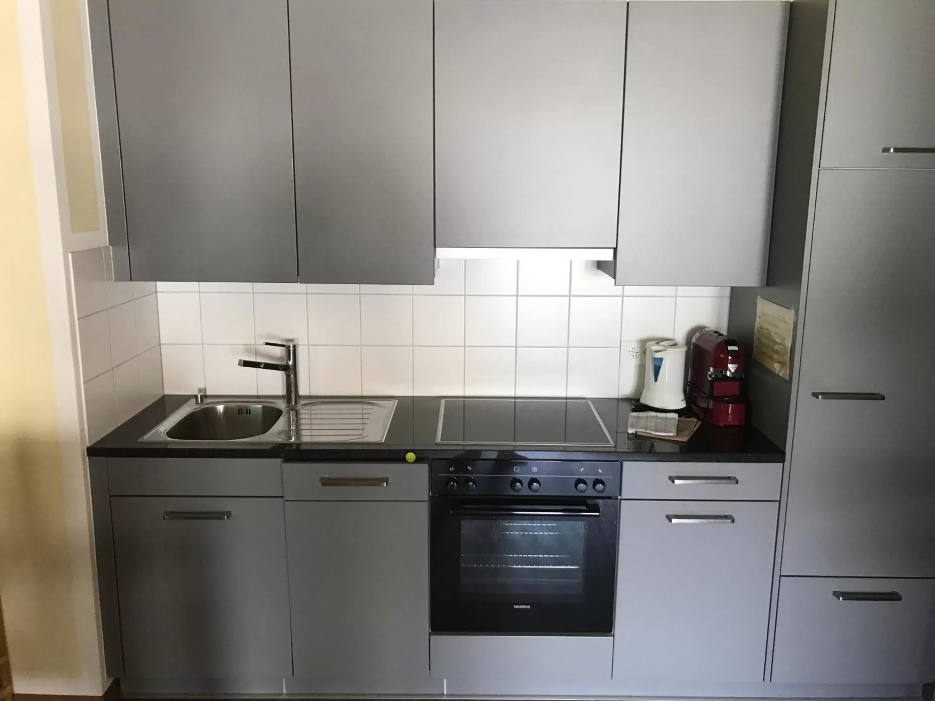 Decorative detail, Kitchen/Kitchenette in Aladin Apartments St Moritz