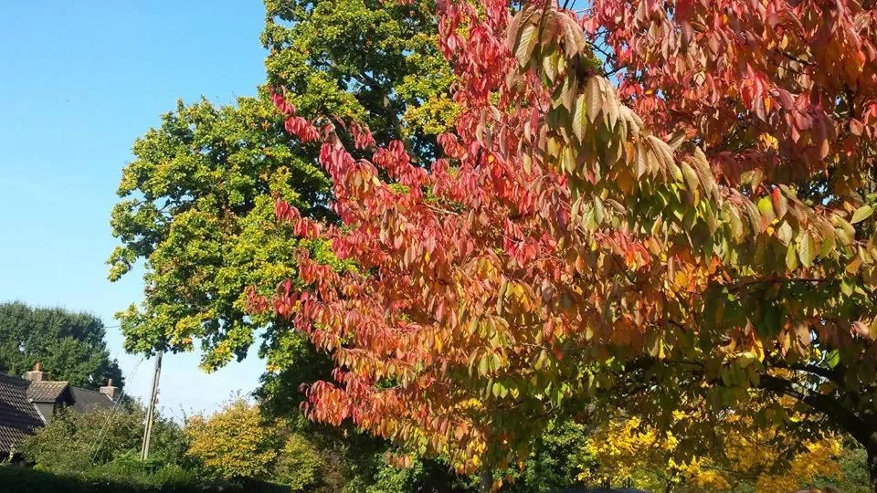 Neighbourhood in Chimneys B&B