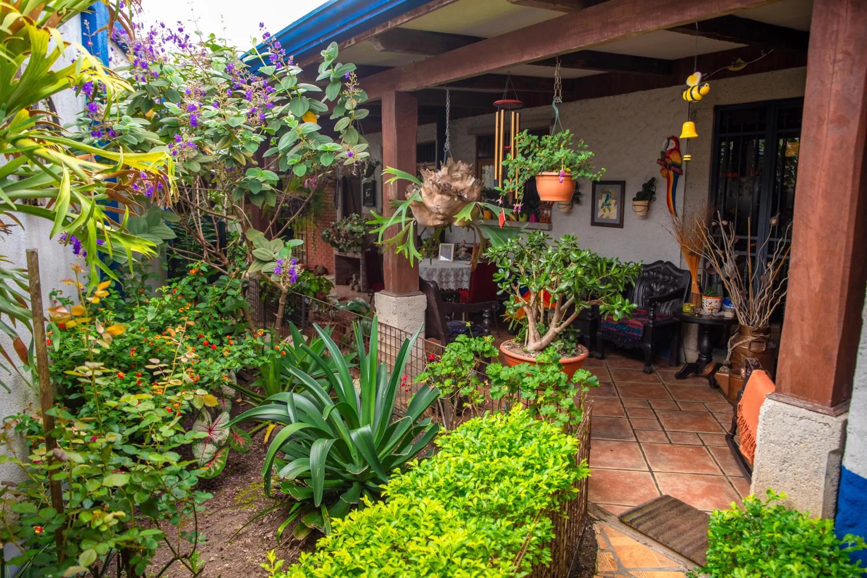 Patio in La Casa de Mamá Coyita