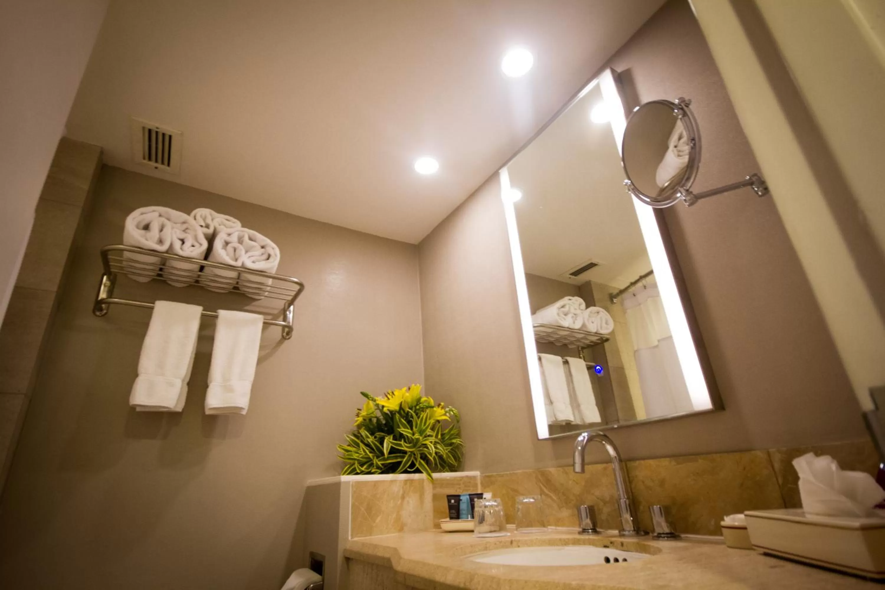 Bathroom in Crowne Plaza Managua by IHG