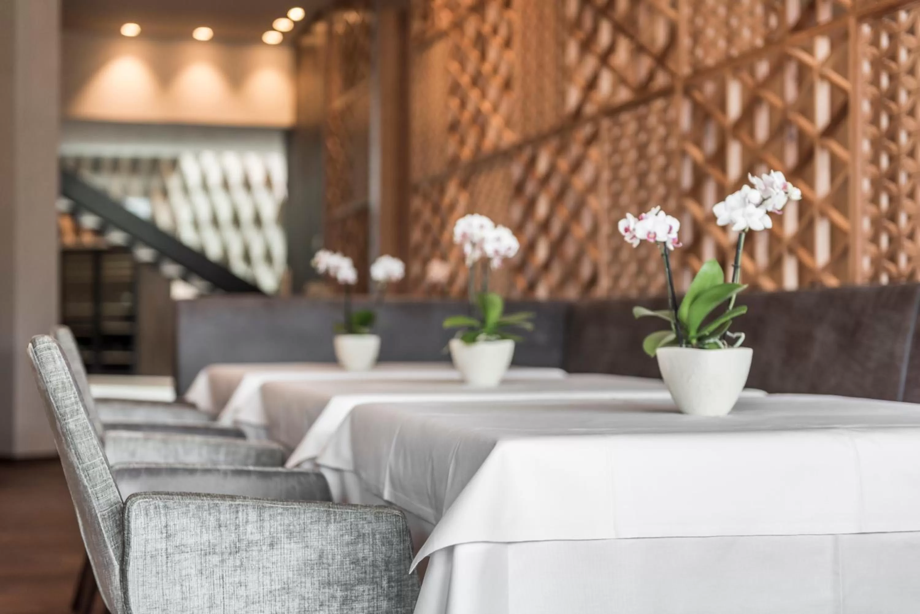 Lounge or bar in Schenna Resort