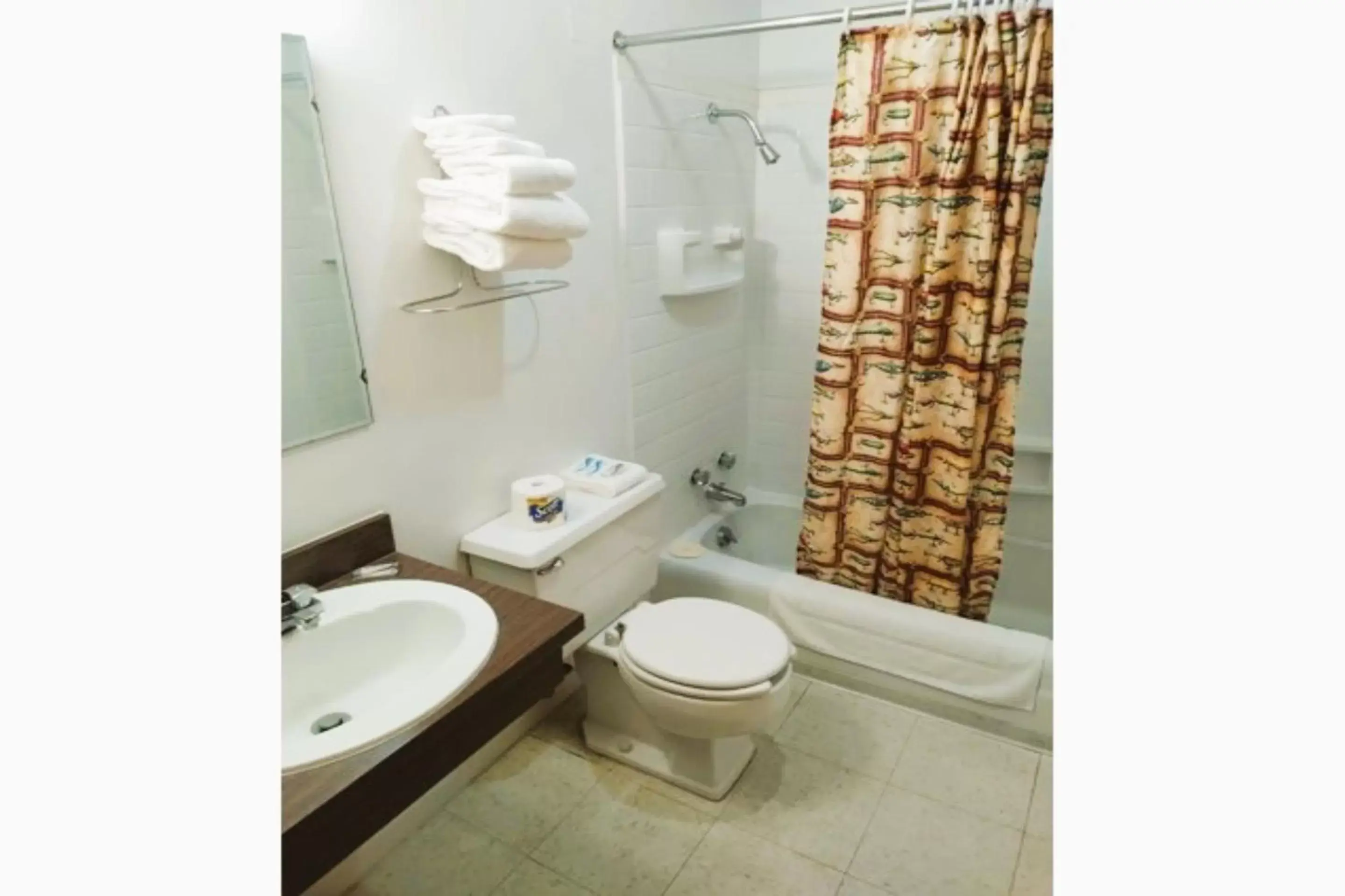 Bathroom in Love Hotels Voyageur by OYO at International Falls MN