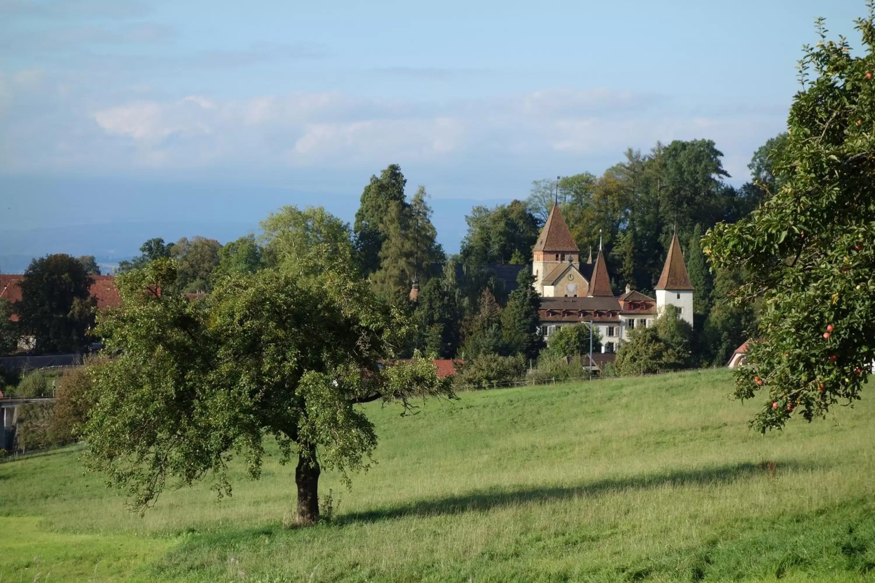 Neighbourhood in Schloss Münchenwiler