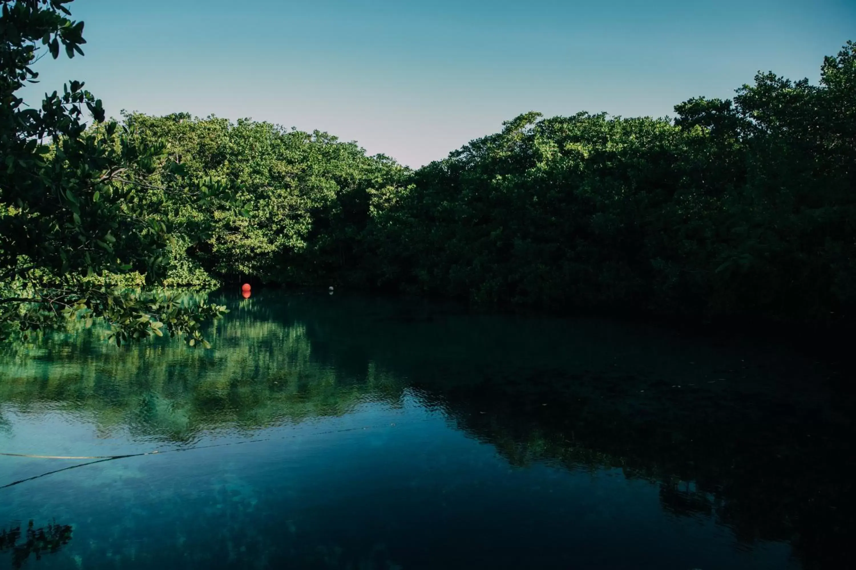 Natural Landscape in O' Tulum Boutique Hotel - Adults Only