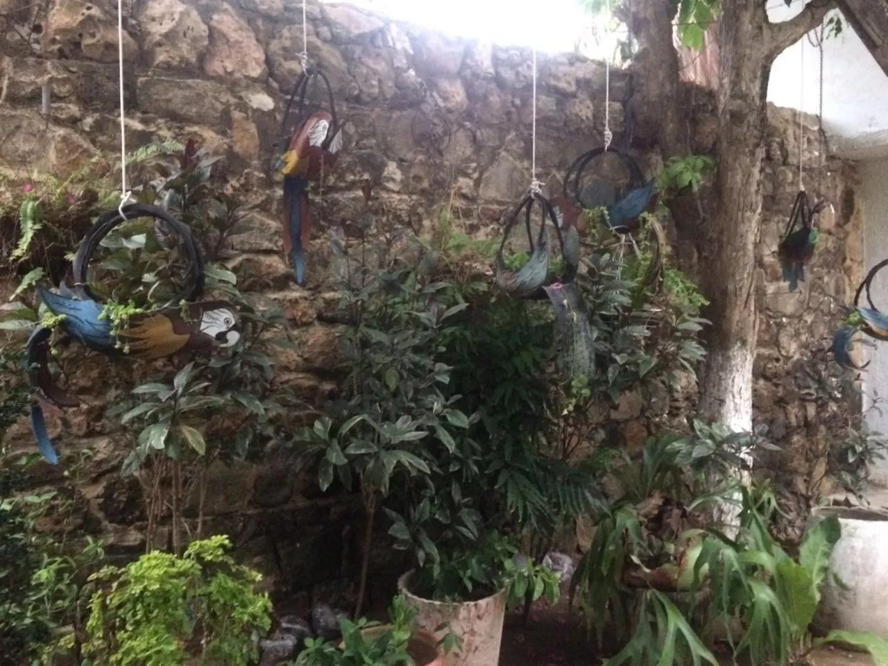Garden in Hotel Boutique Casa Berastegui