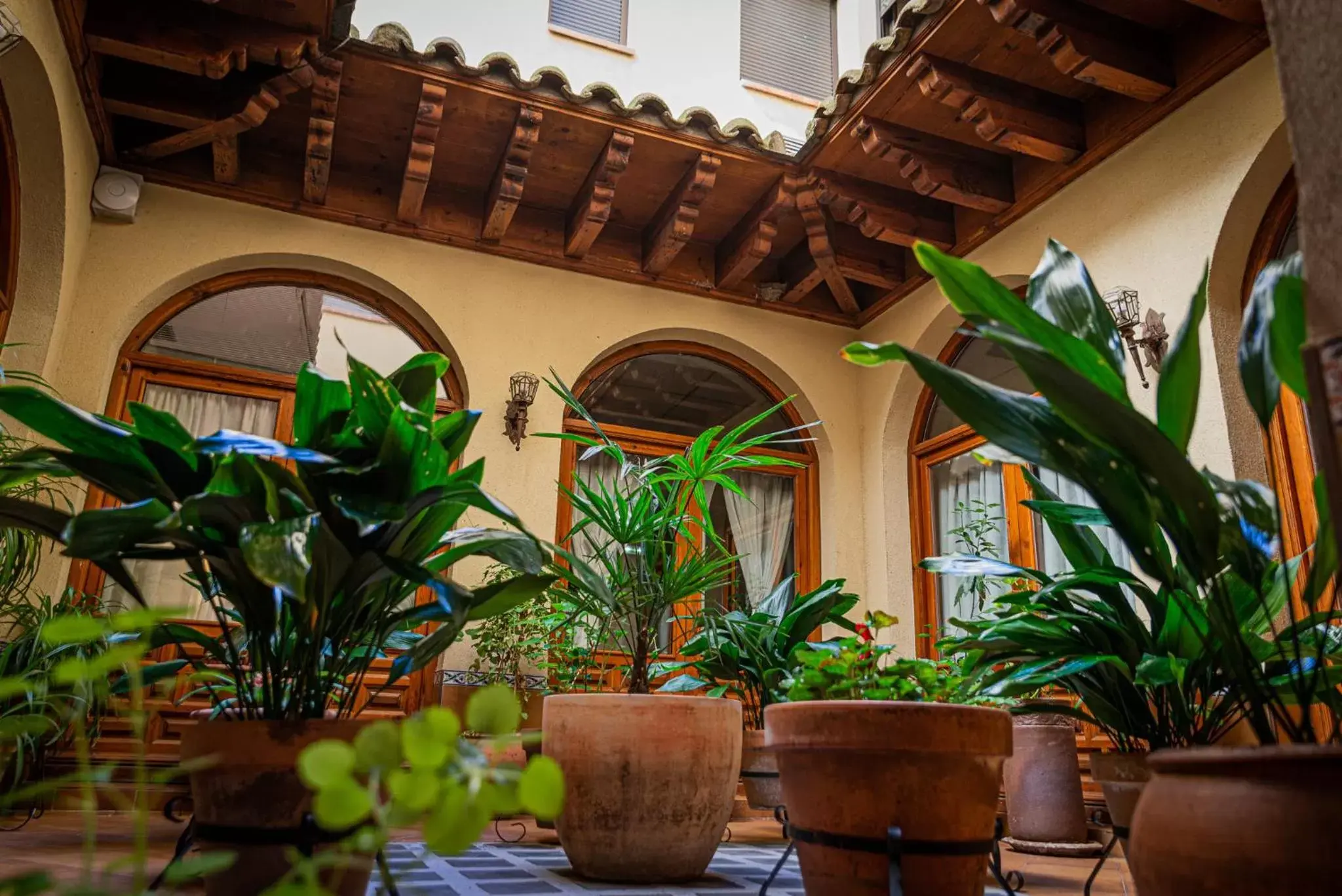 Patio in Hotel Santa Isabel