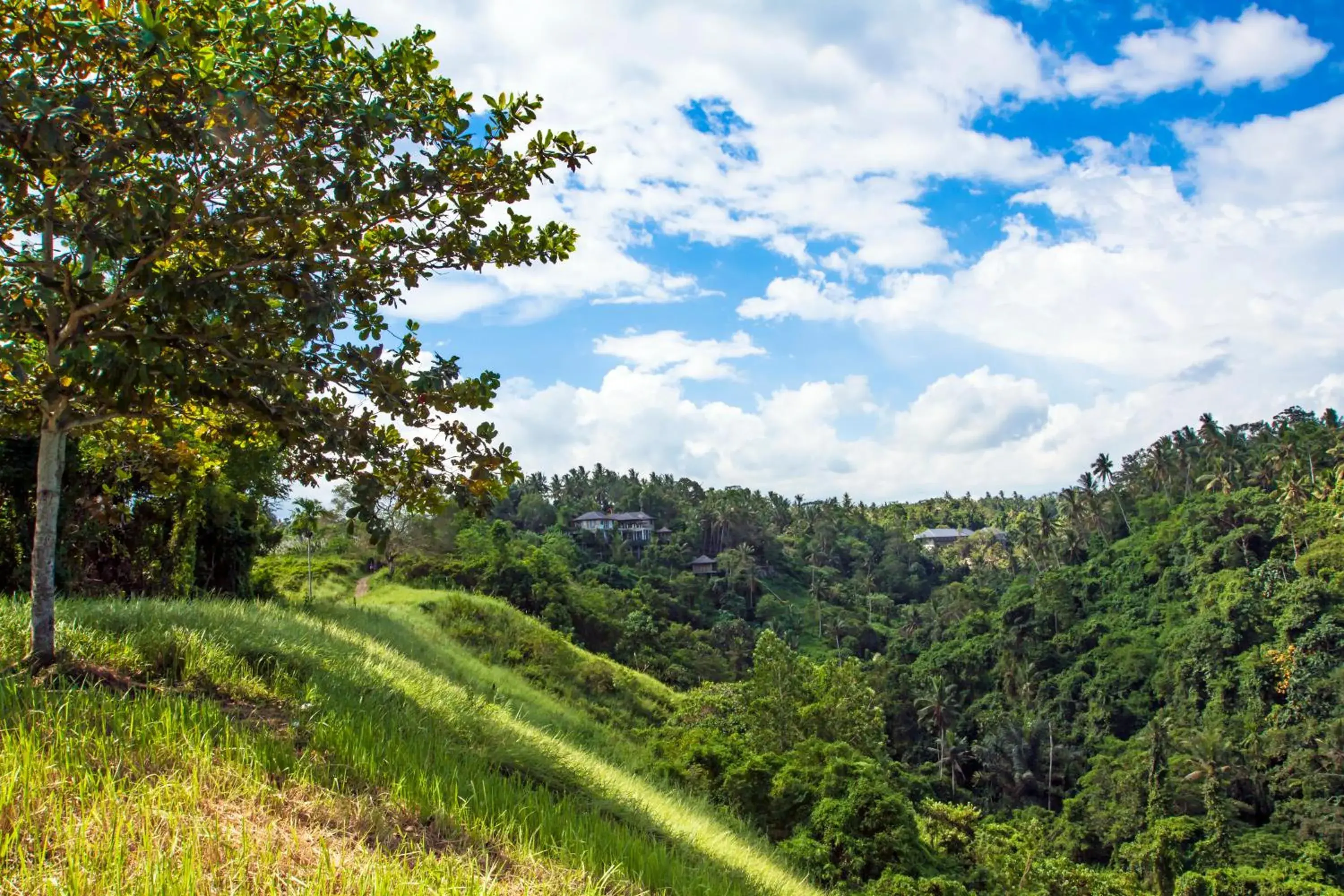 Day in The Lokha Ubud Resort Villas and Spa