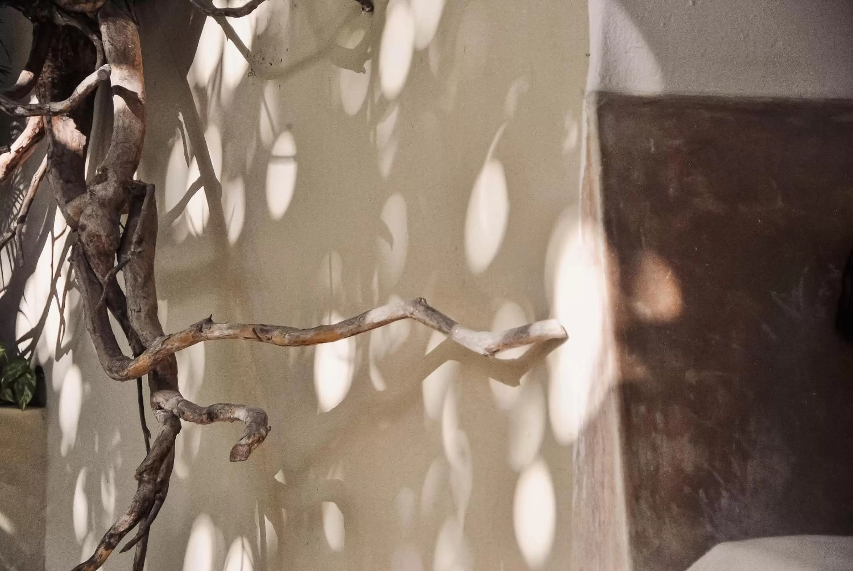 Decorative detail in Boutique Hotel Posada 06 Tulum