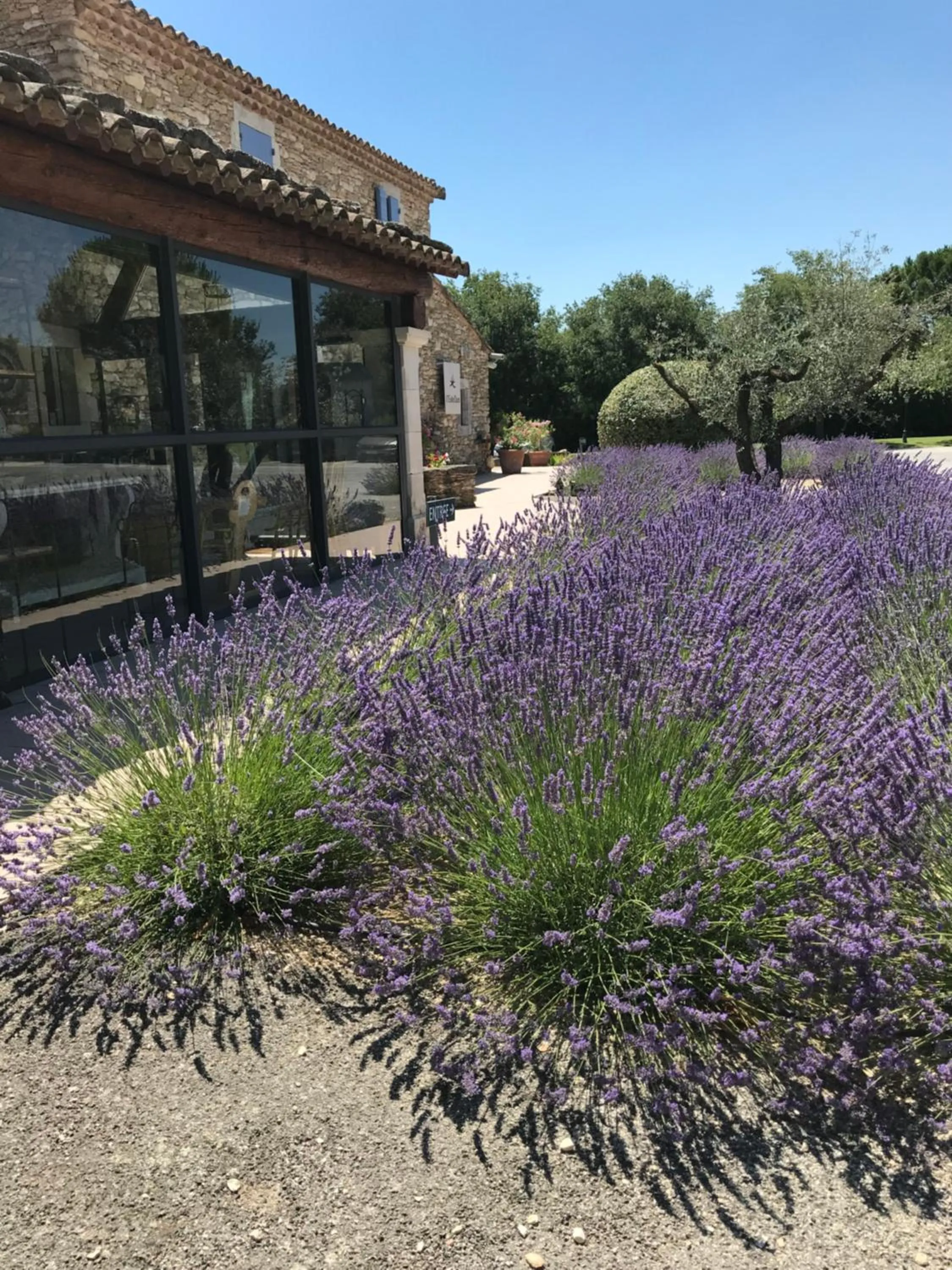 Restaurant/places to eat in Mas De La Senancole & Spa