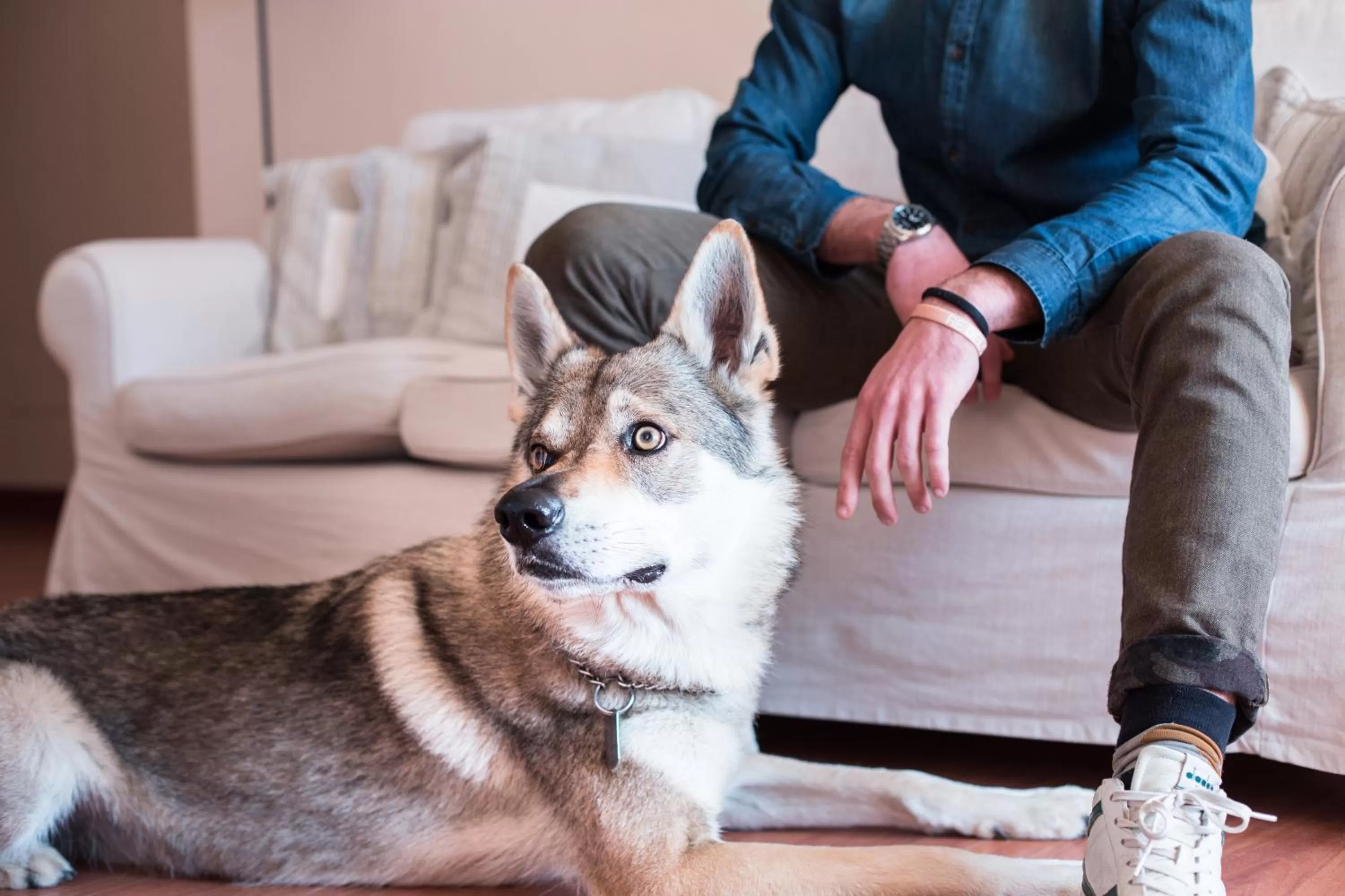 Animals in Residenza Santa Cecilia