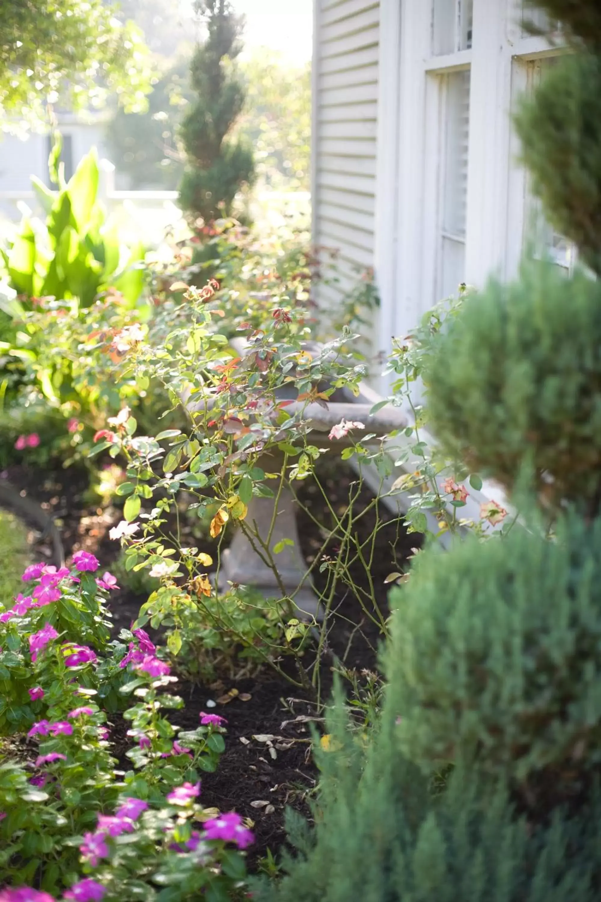 Facade/entrance, Garden in Rainbow Courts