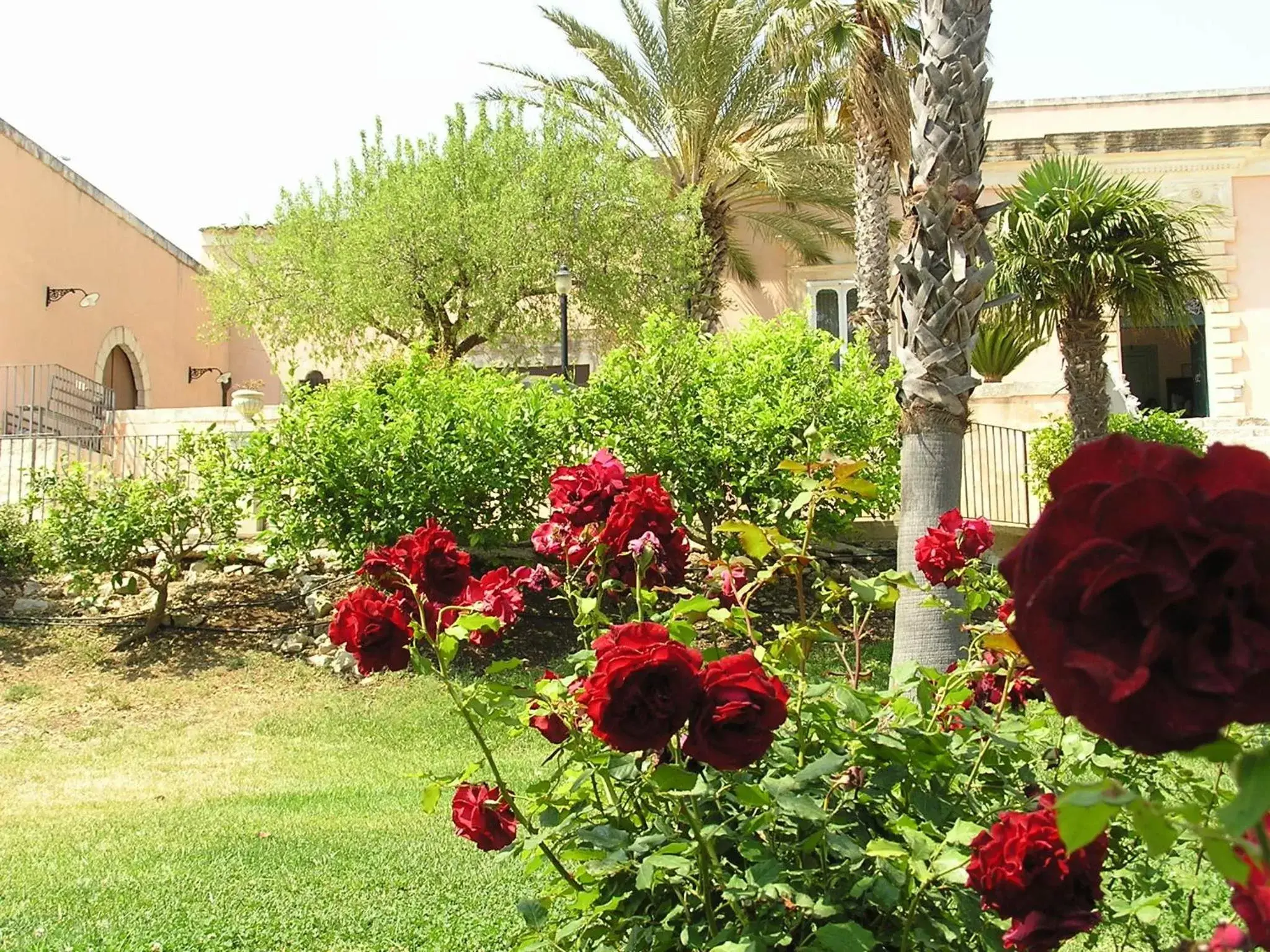 Garden in Villa Principe Di Belmonte