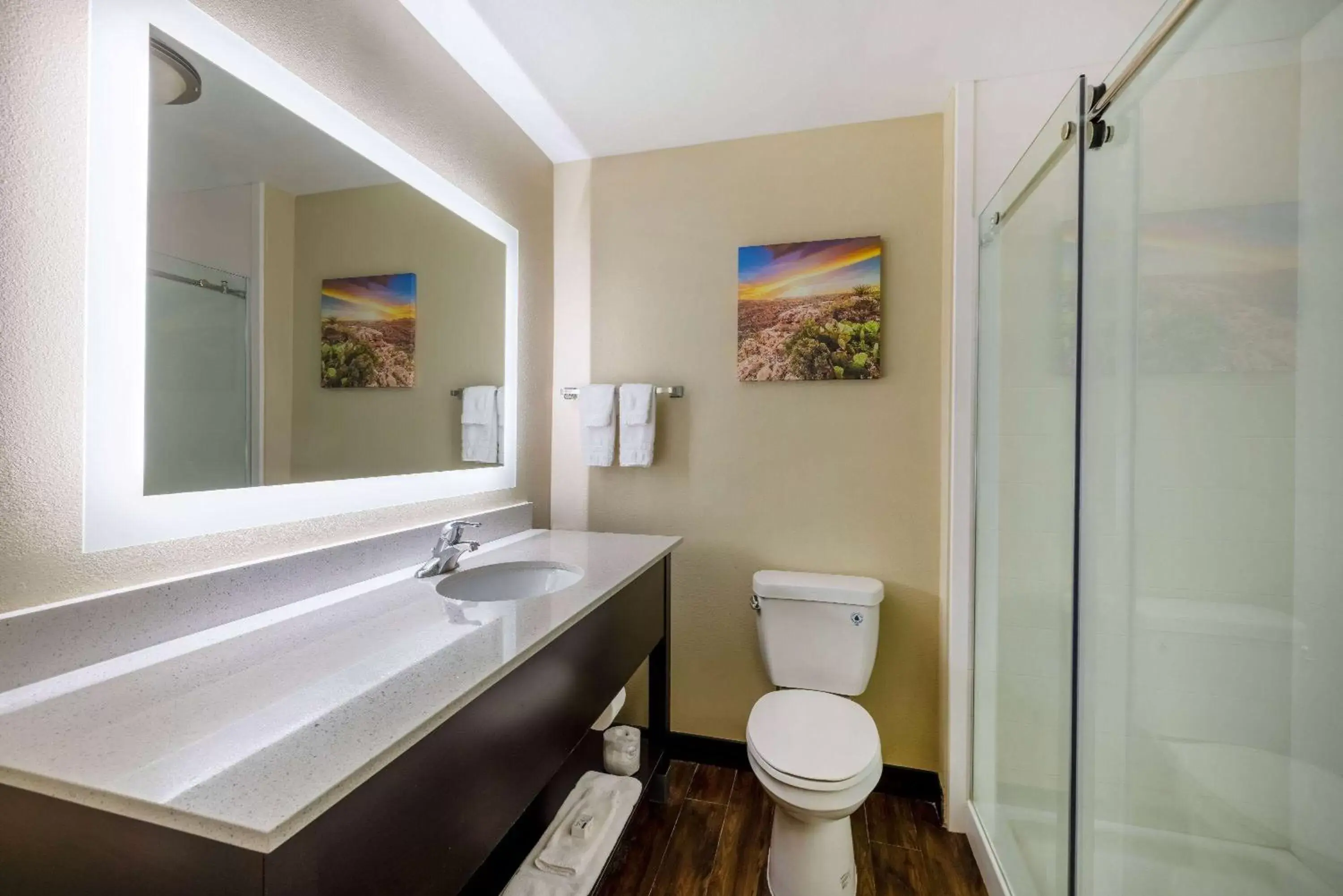 TV and multimedia, Bathroom in La Quinta by Wyndham Artesia