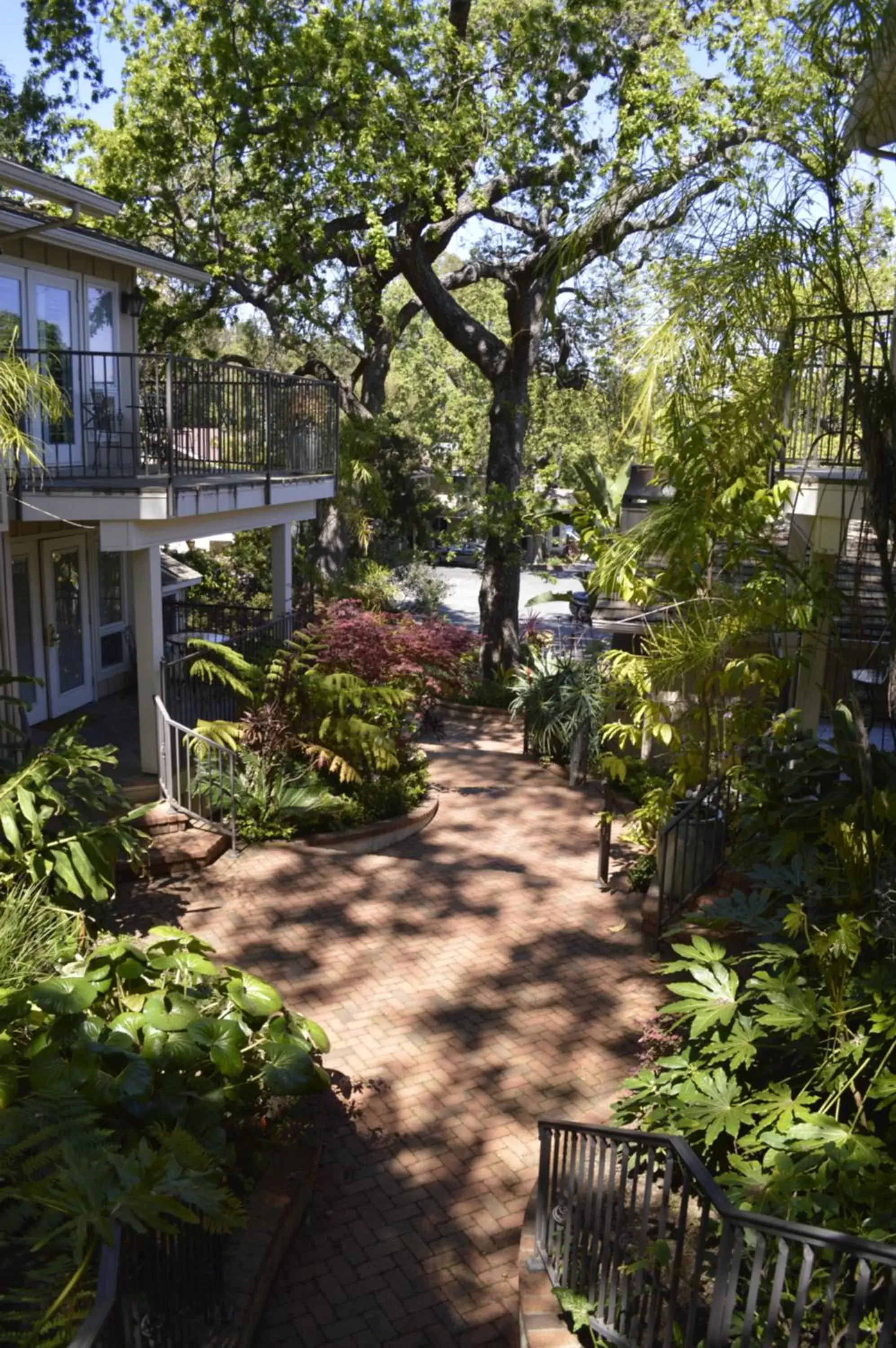 Property building, Garden in Saratoga Oaks Lodge